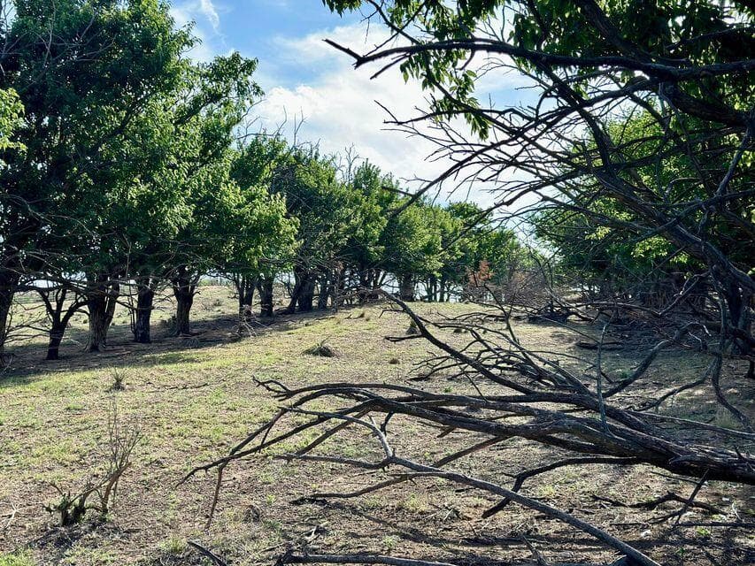 15200 TX-152, Mobeetie, TX 79061, photo 45