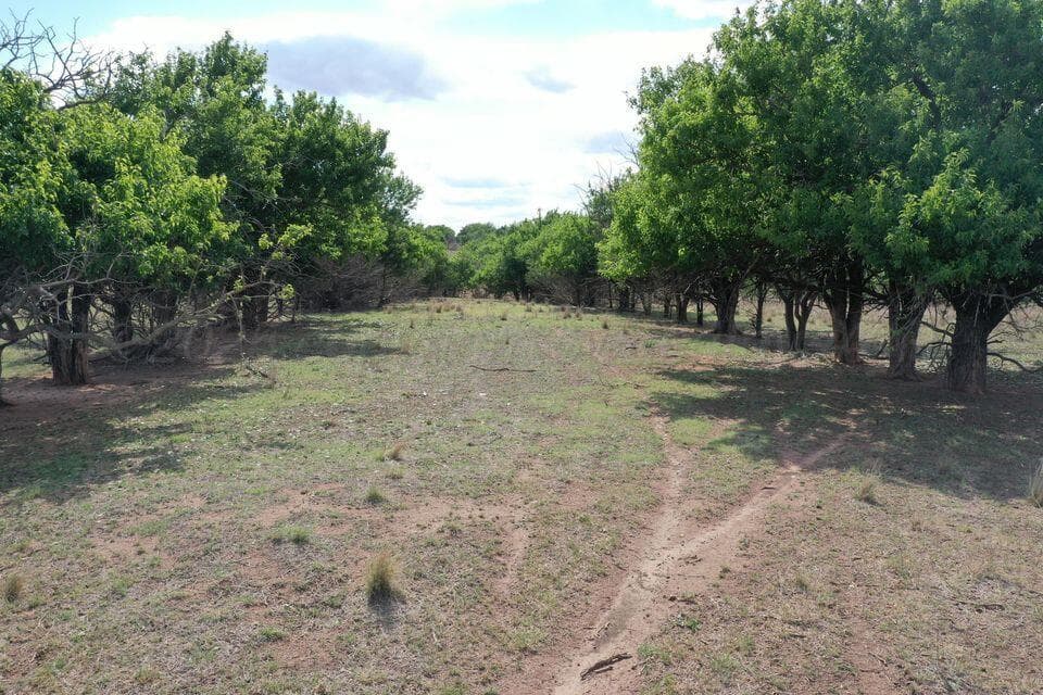15200 TX-152, Mobeetie, TX 79061, photo 48