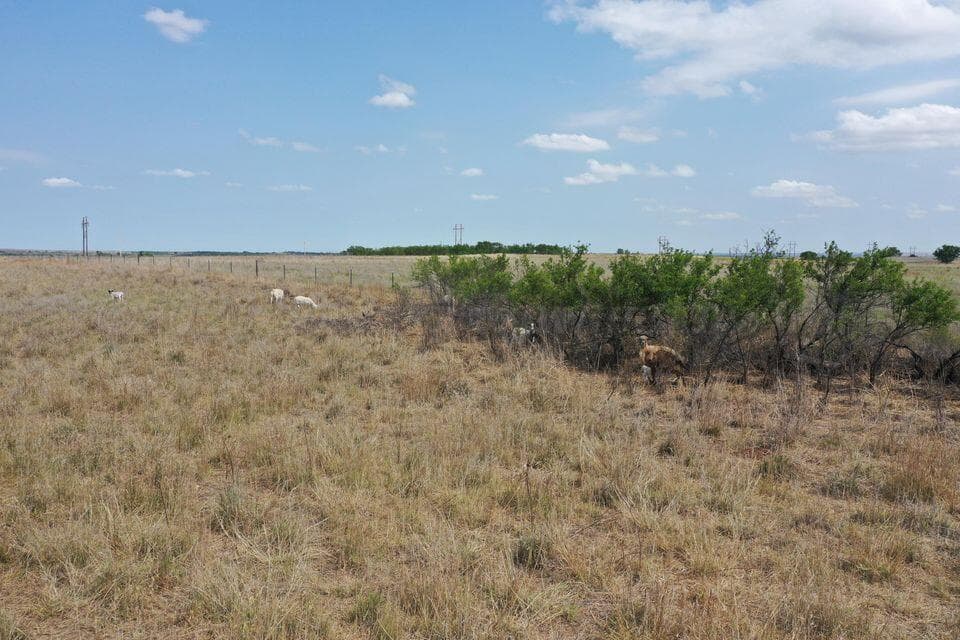 15200 TX-152, Mobeetie, TX 79061, photo 63