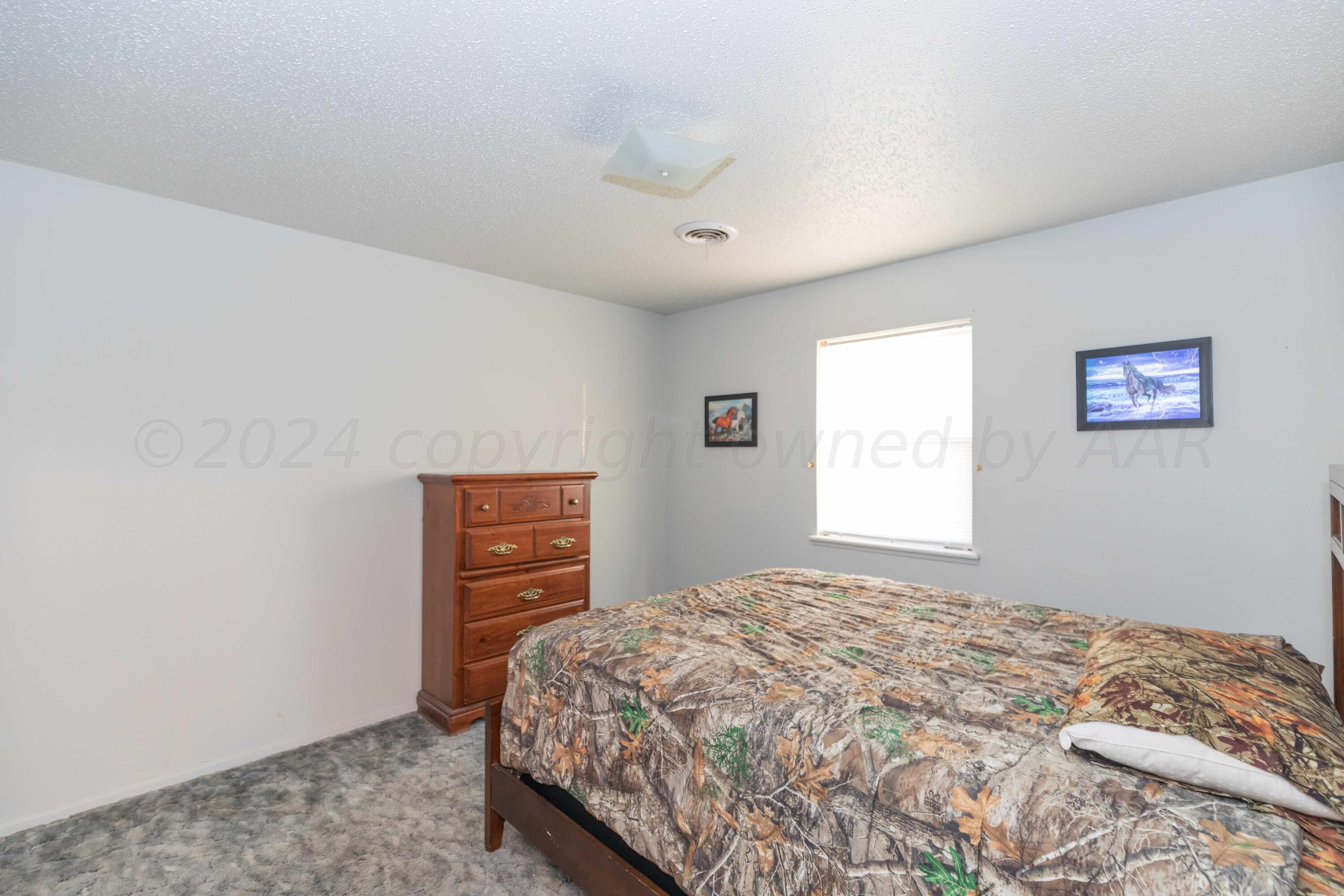 118 W VALENCIA Drive, Amarillo, TX 79118-5118, photo 37