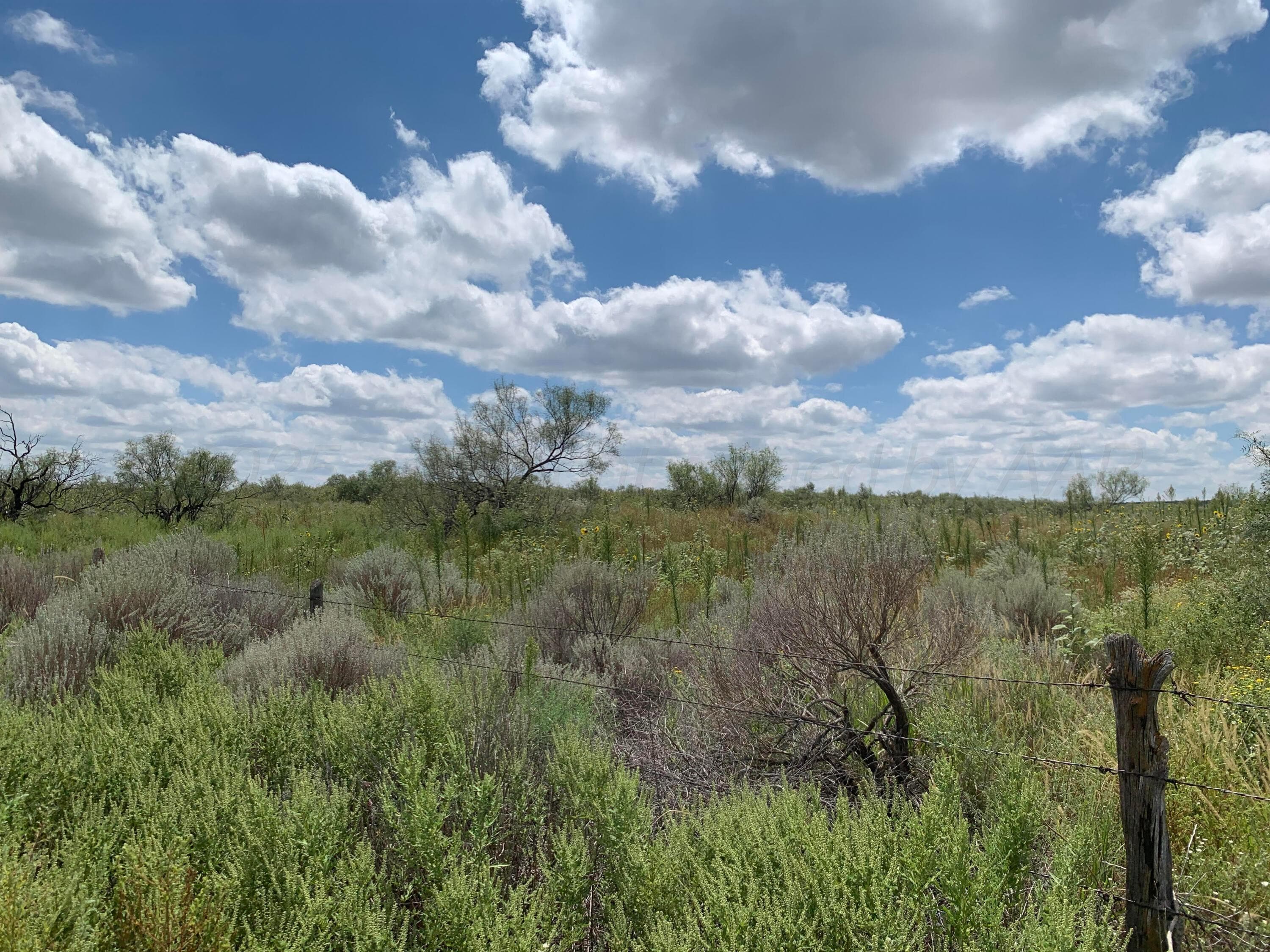 0 GOODRICH GULCH, Valle de Oro, TX 79010, photo 4