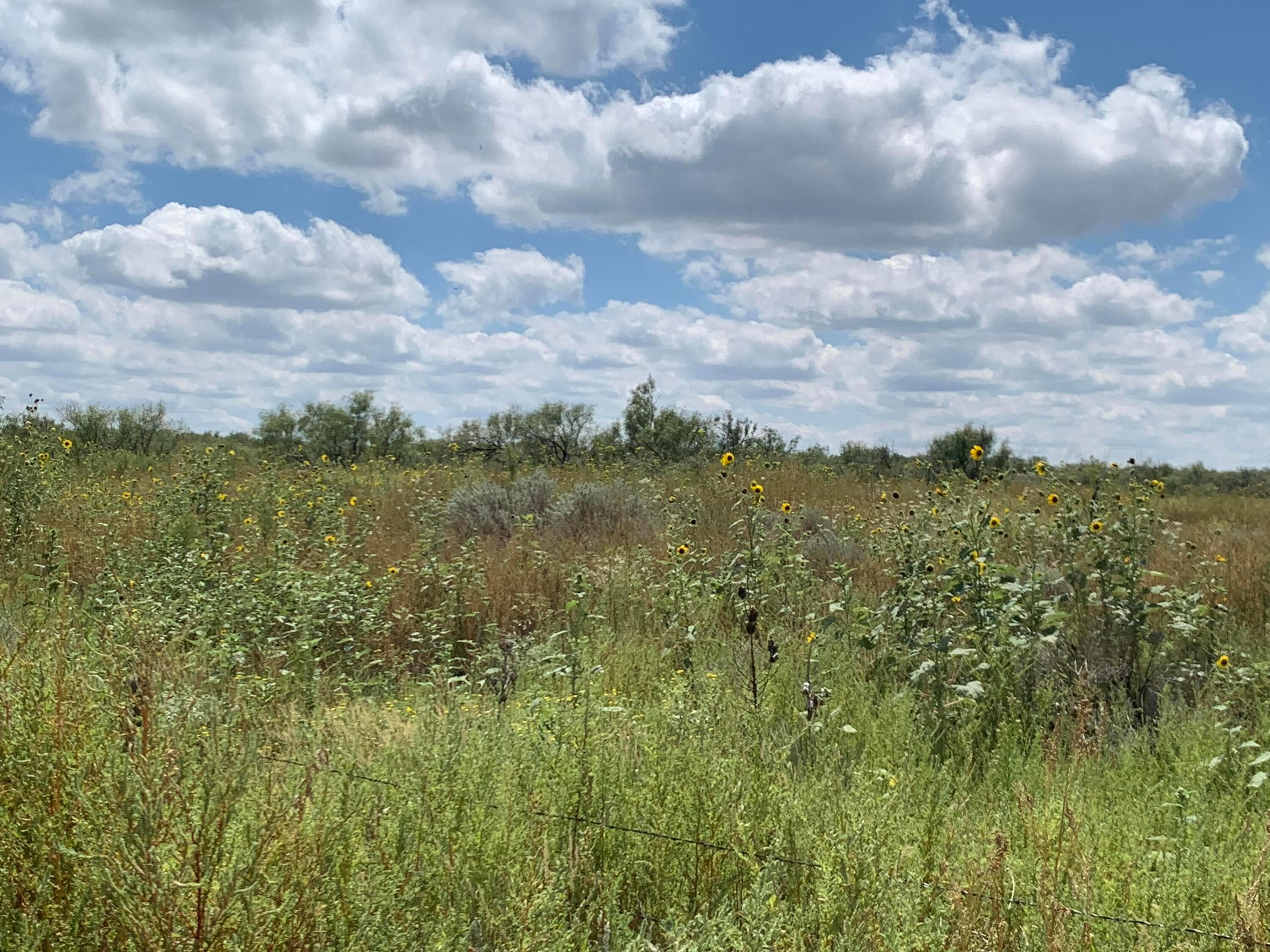0 GOODRICH GULCH, Valle de Oro, TX 79010, photo 5