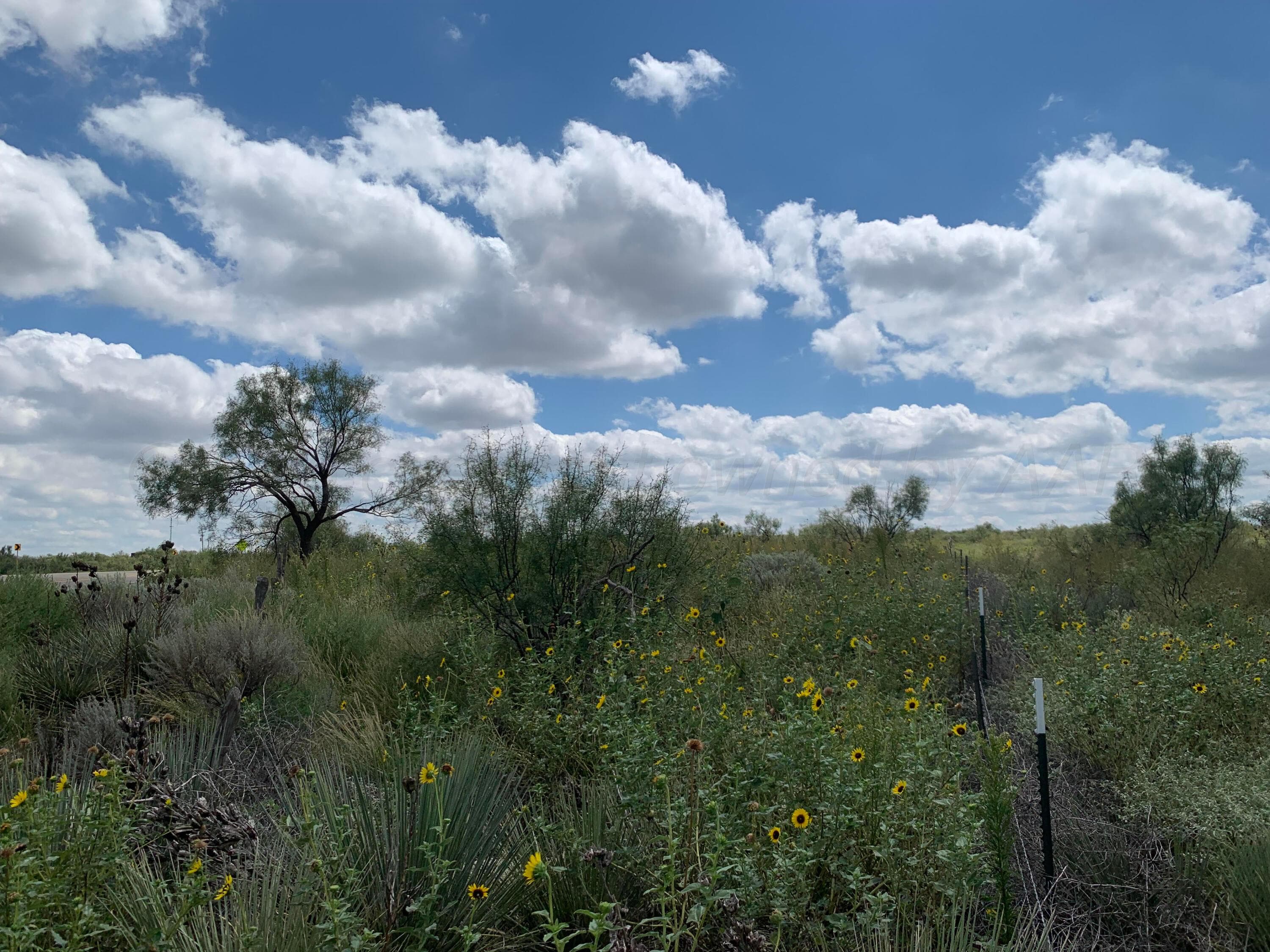 0 GOODRICH GULCH, Valle de Oro, TX 79010, photo 3