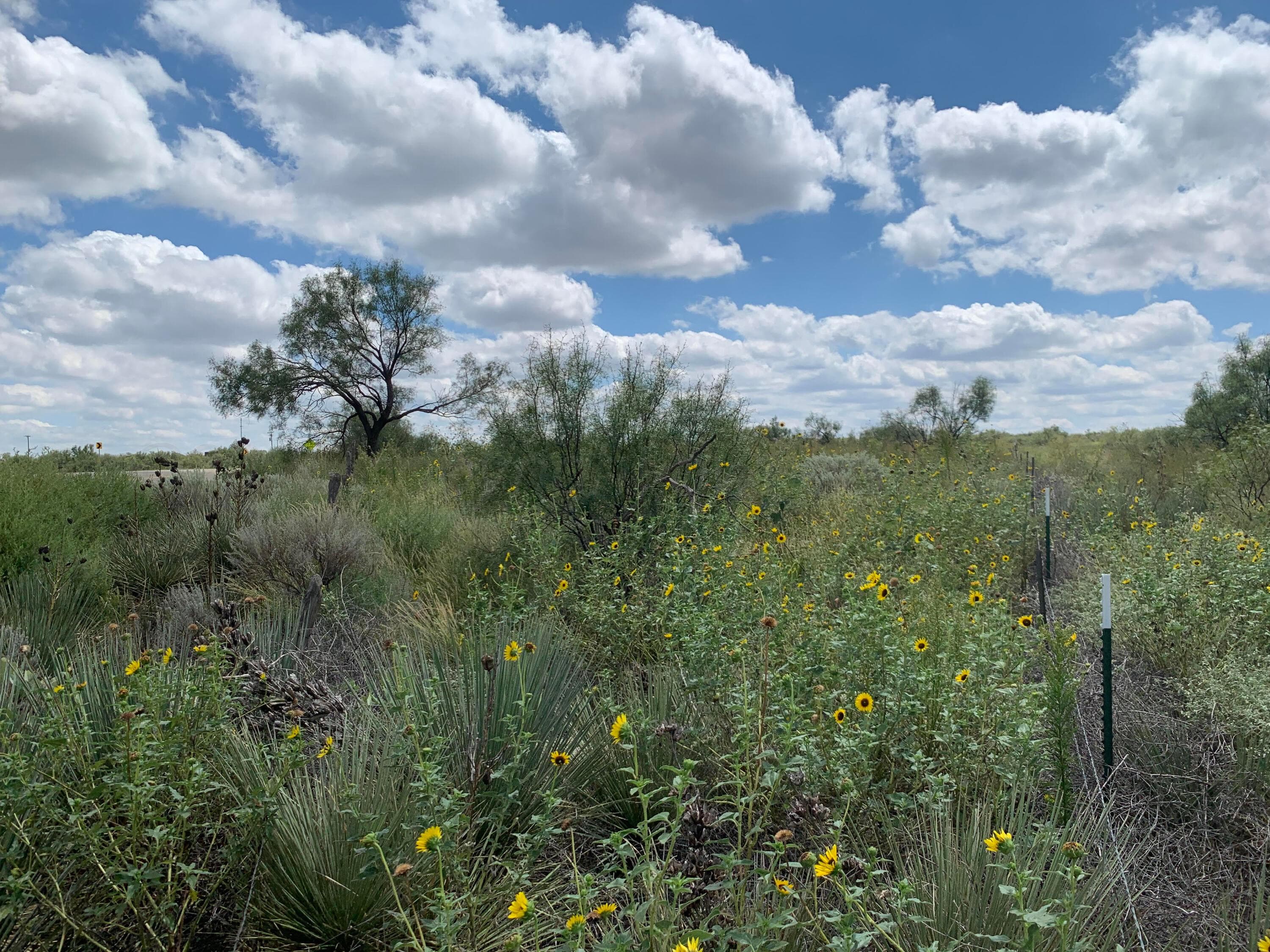 0 GOODRICH GULCH, Valle de Oro, TX 79010, photo 6
