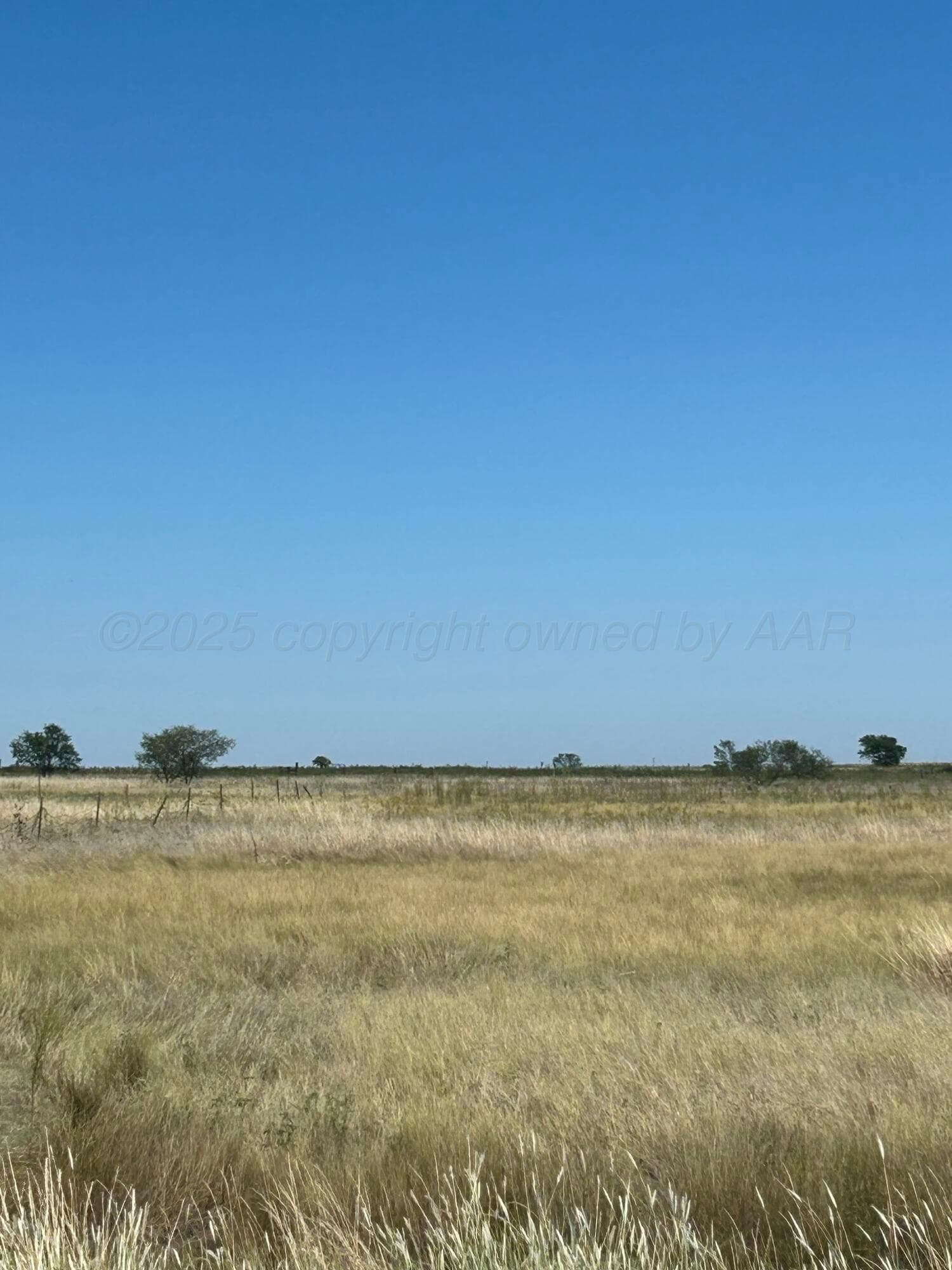 0 S FM 1258 - Williams, Amarillo, TX 79118