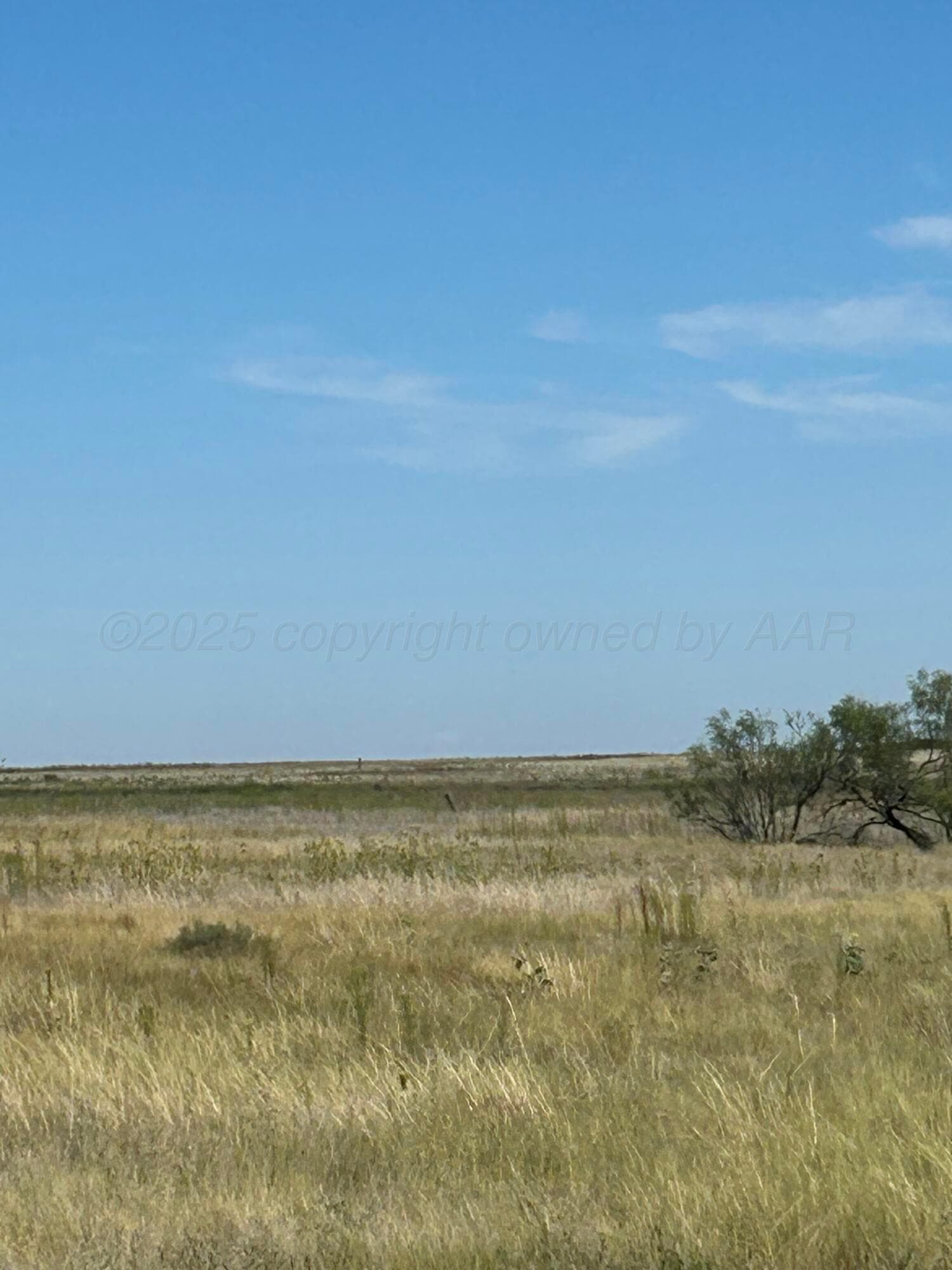 0 S FM 1258 - Williams, Amarillo, TX 79118, photo 2