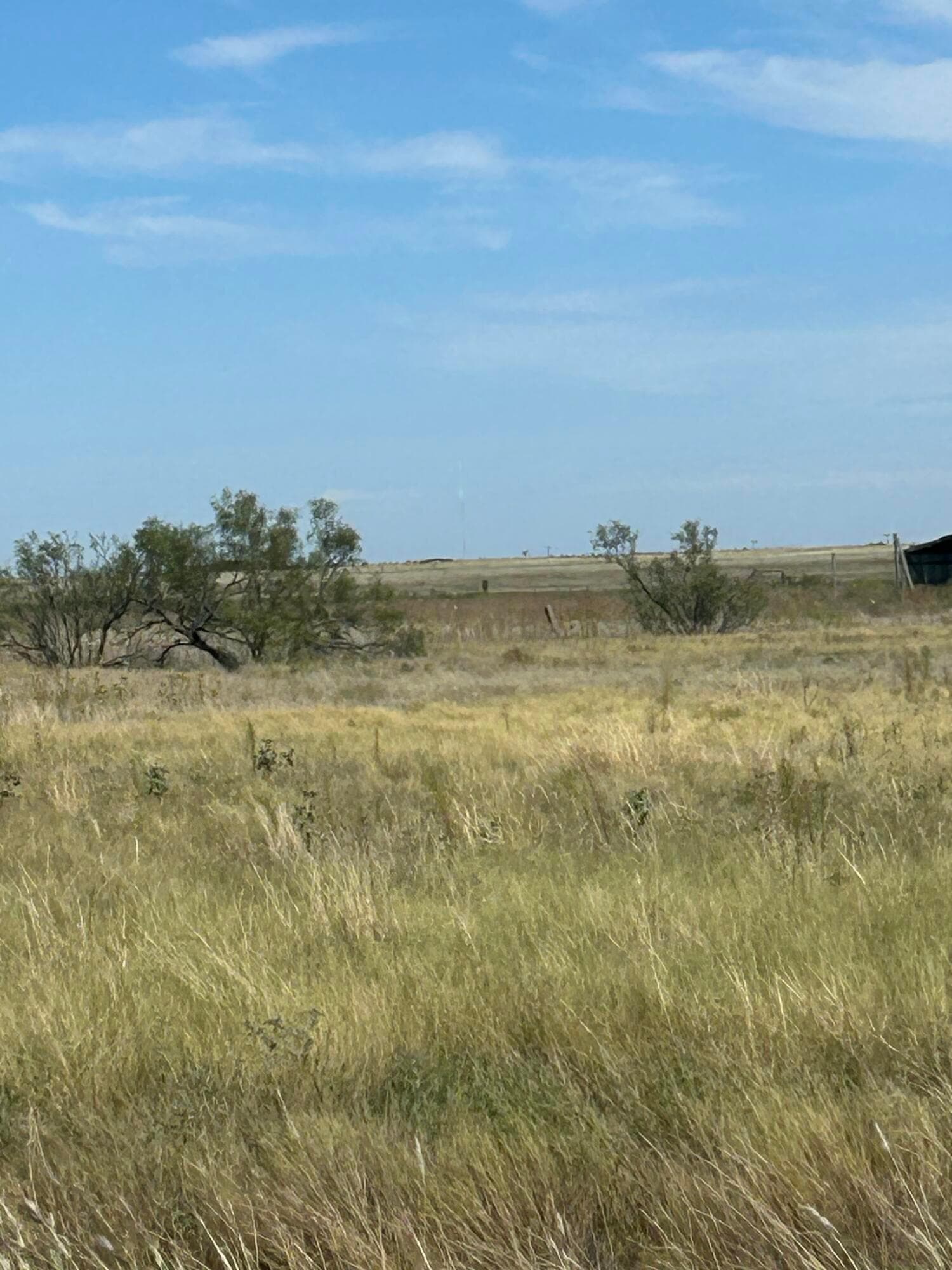 0 S FM 1258 - Williams, Amarillo, TX 79118, photo 3