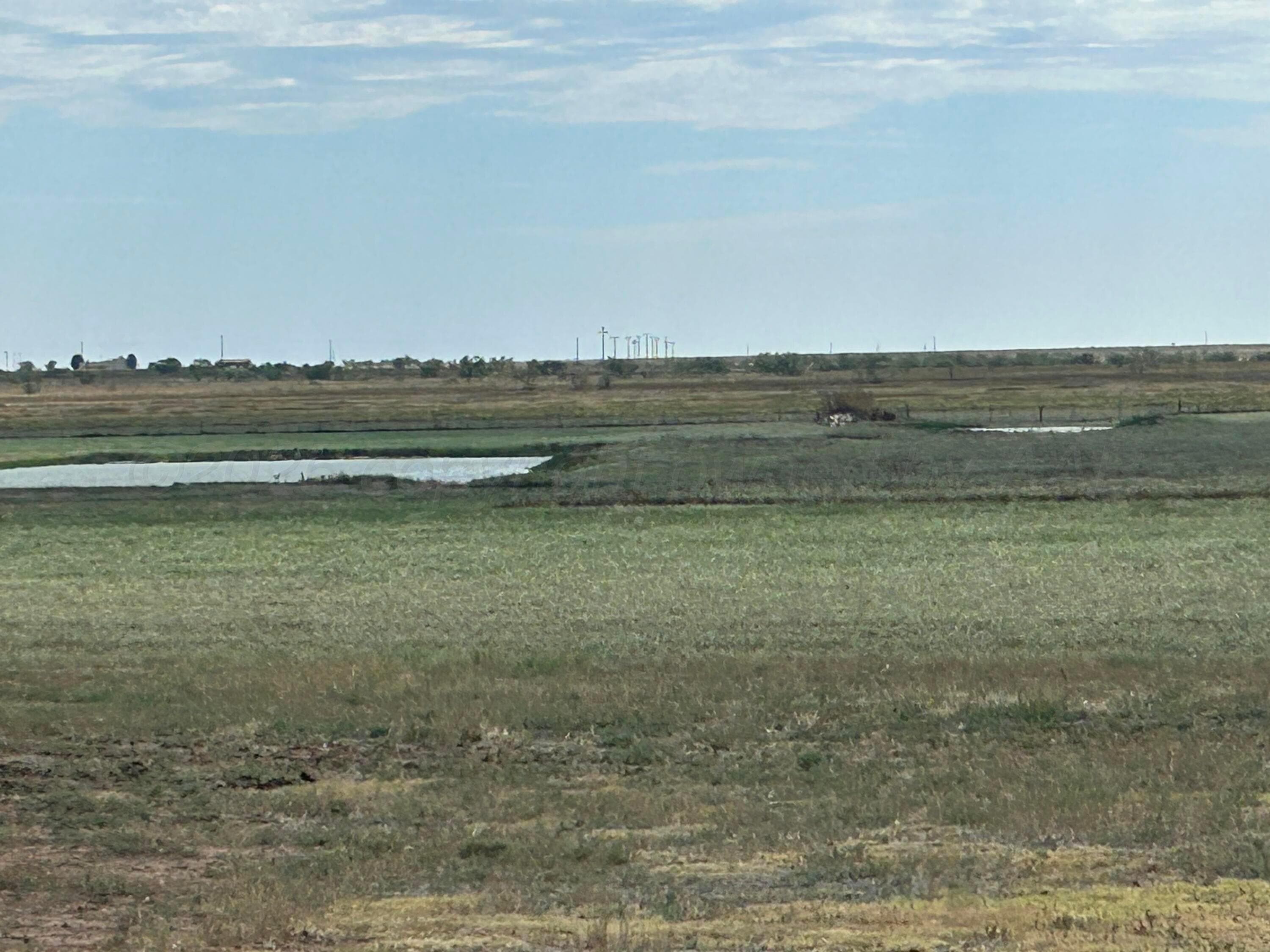 0 S FM 1258 - Williams, Amarillo, TX 79118, photo 5