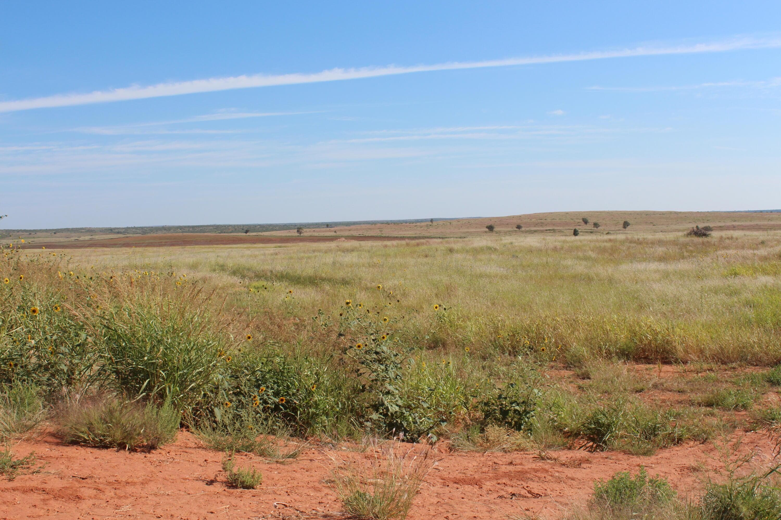325 acres Childress, Amarillo, TX 79201, photo 2