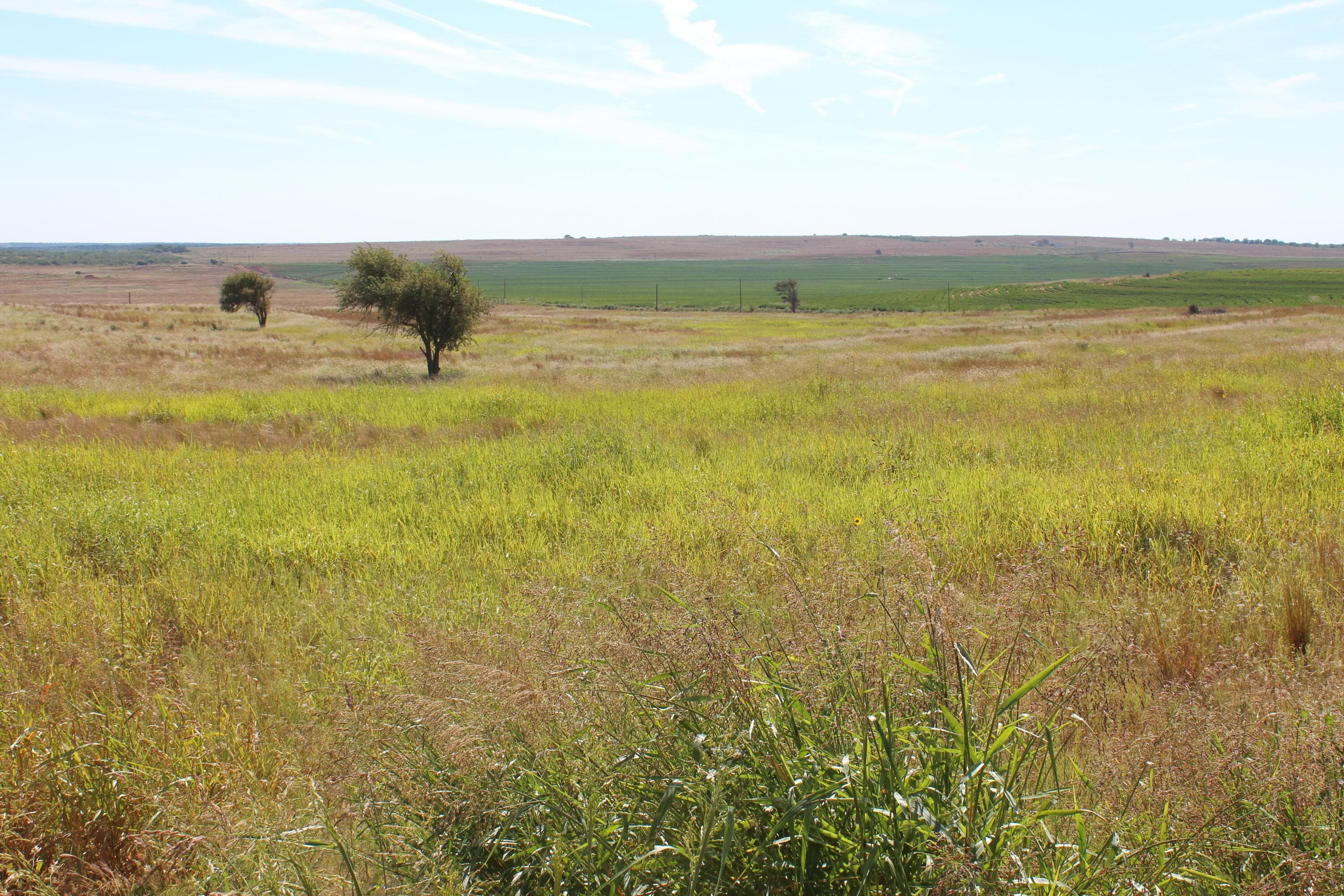 325 acres Childress, Amarillo, TX 79201, photo 4