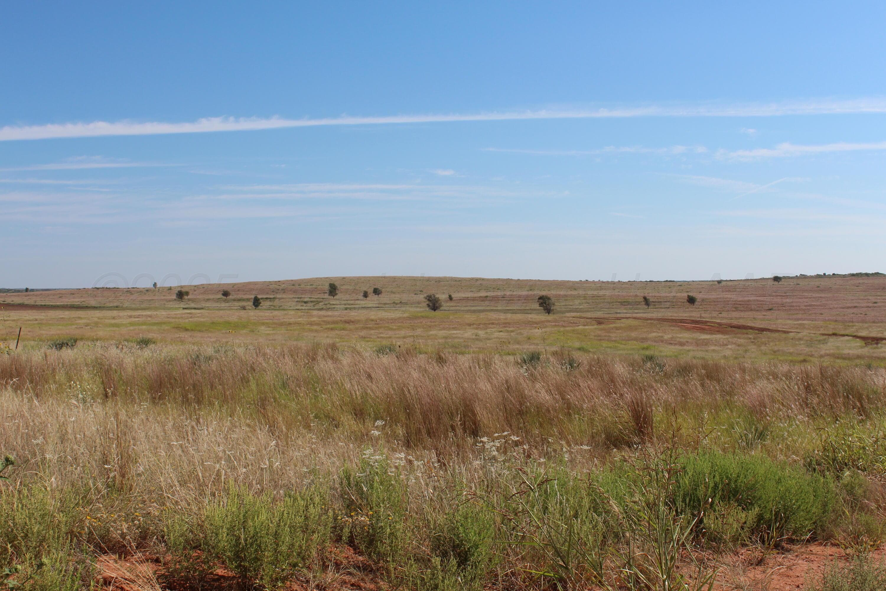325 acres Childress, Amarillo, TX 79201, photo 7