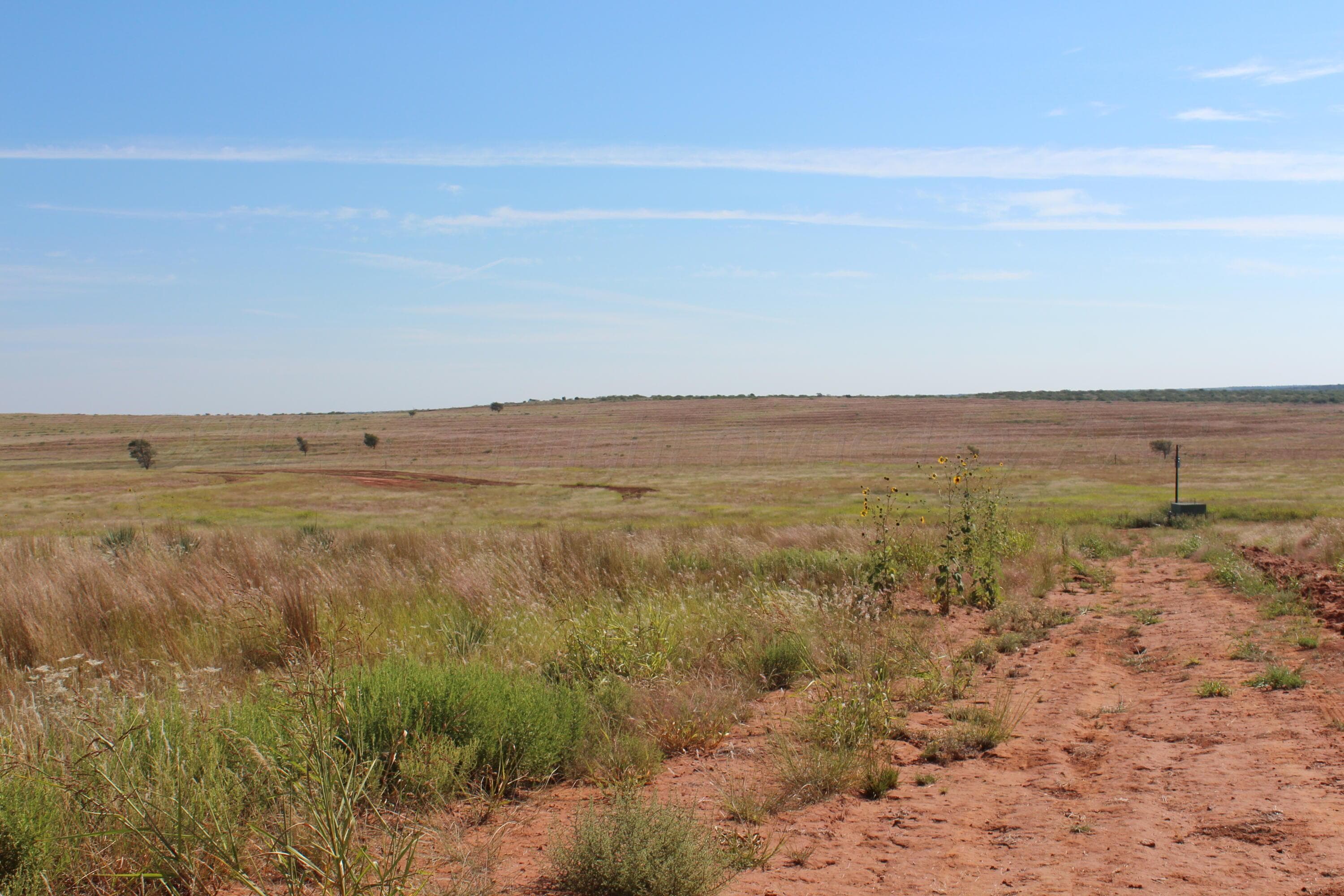 325 acres Childress, Amarillo, TX 79201, photo 9