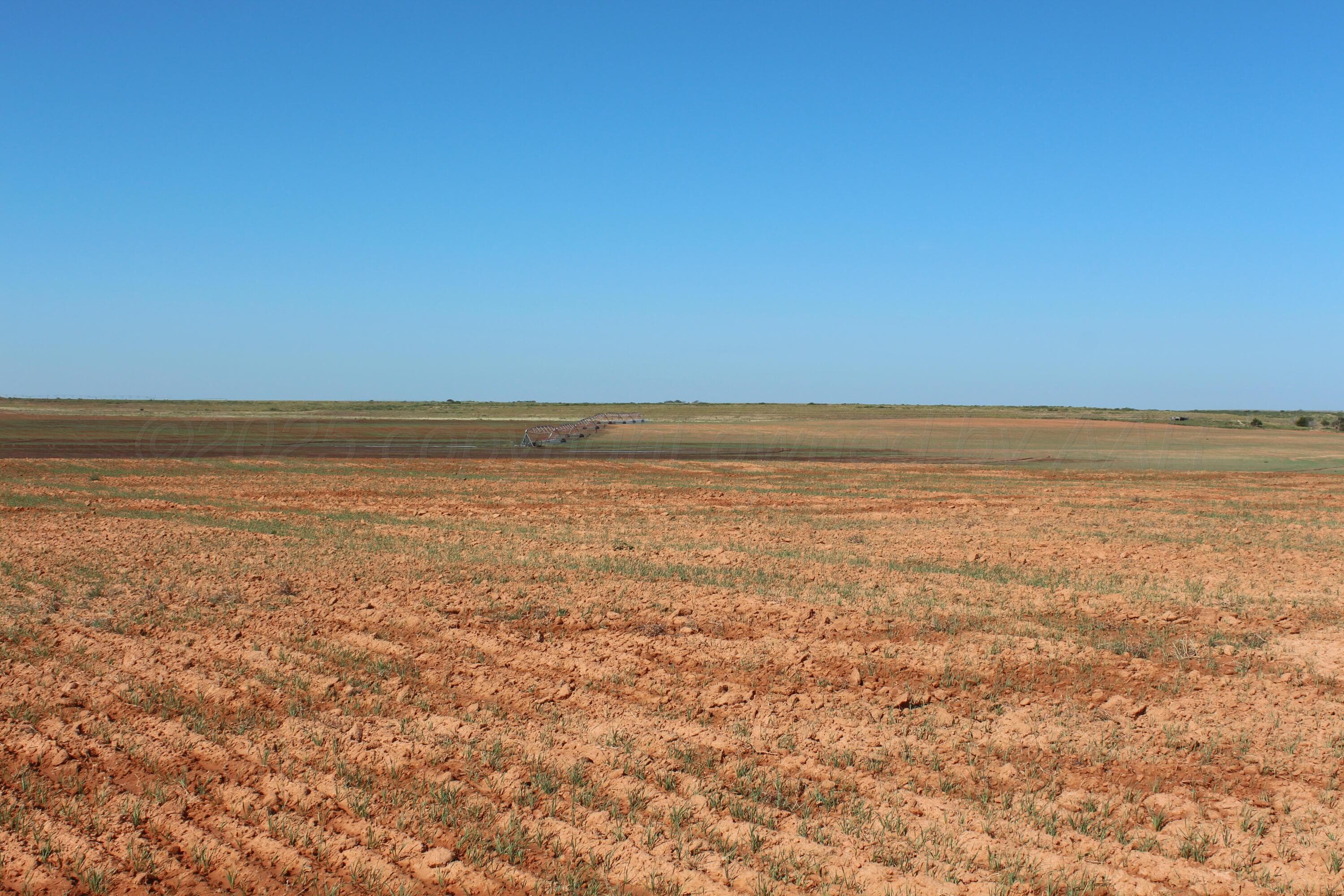 325 acres Childress, Amarillo, TX 79201, photo 11