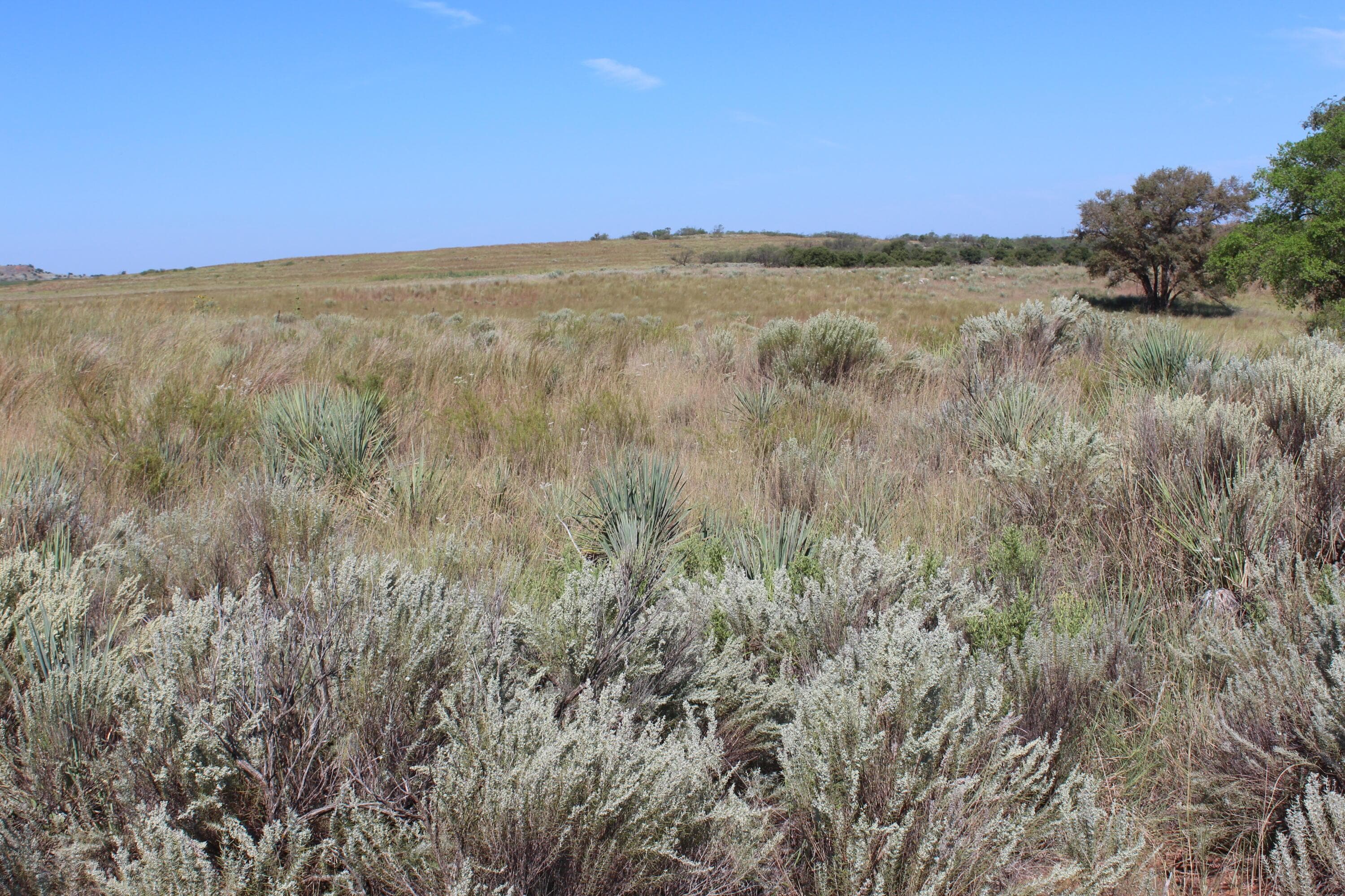 325 acres Childress, Amarillo, TX 79201, photo 25