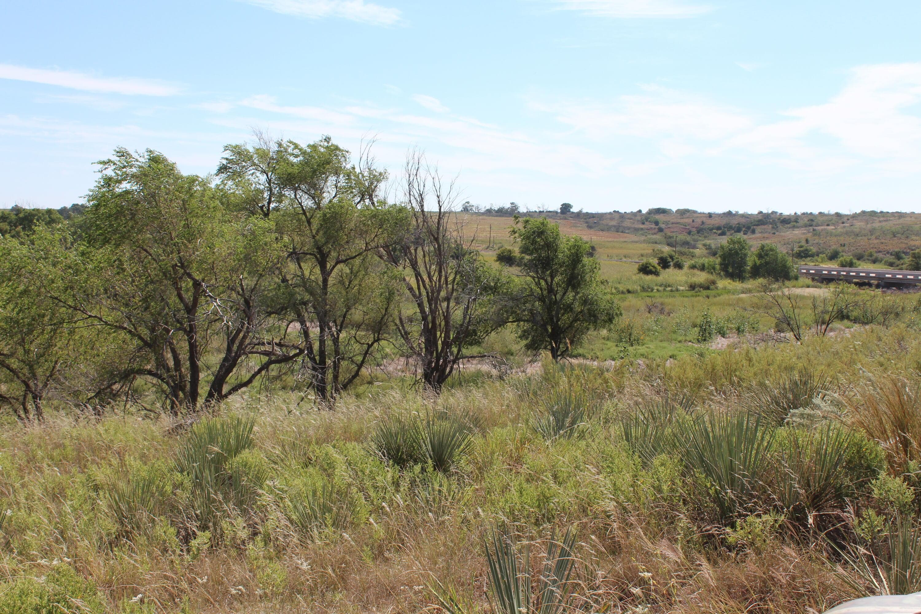 325 acres Childress, Amarillo, TX 79201, photo 26