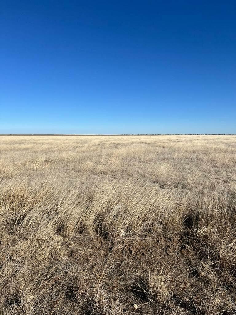 FM 722, Dumas, TX 79029