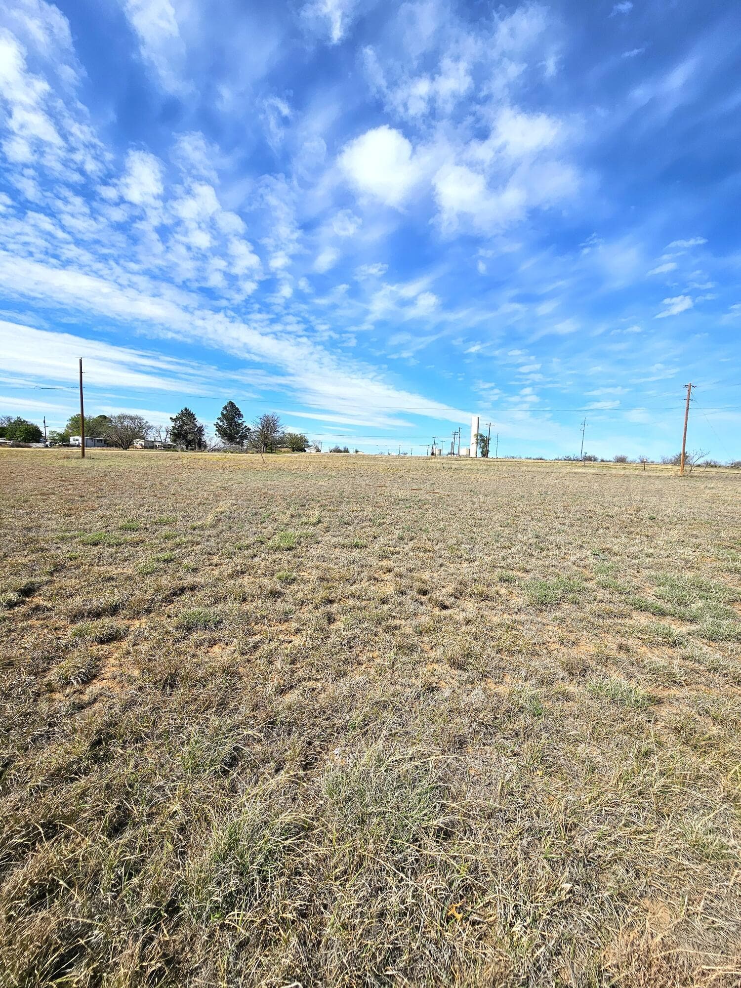 104 Molly Bee Drive, Howardwick, TX 79226