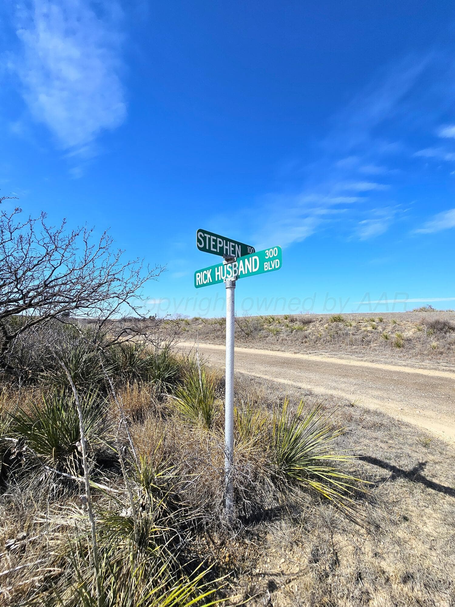 0 Rick Husband Boulevard, Howardwick, TX 79226, photo 4