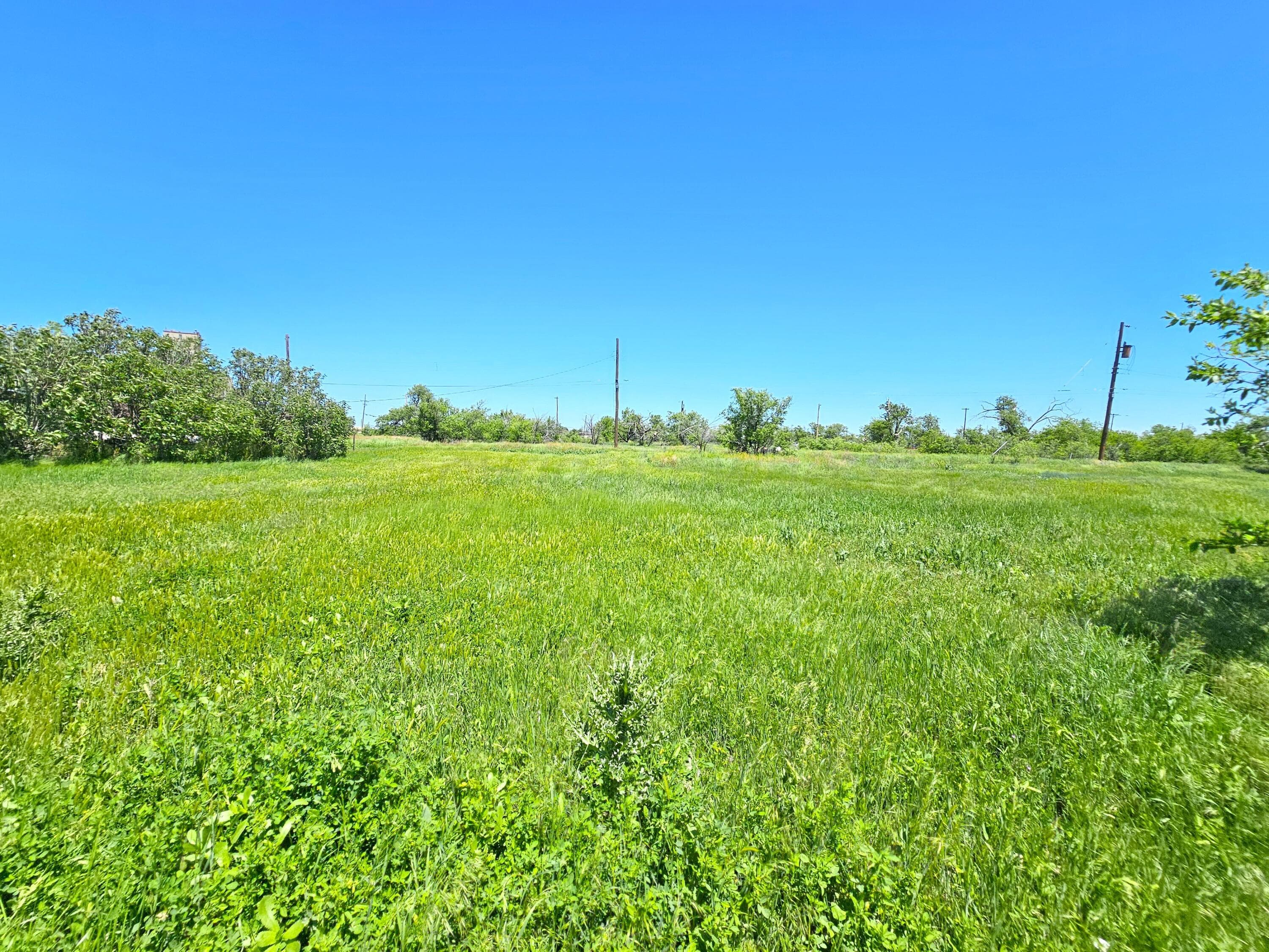 528 W Elm Avenue, Pampa, TX 79065