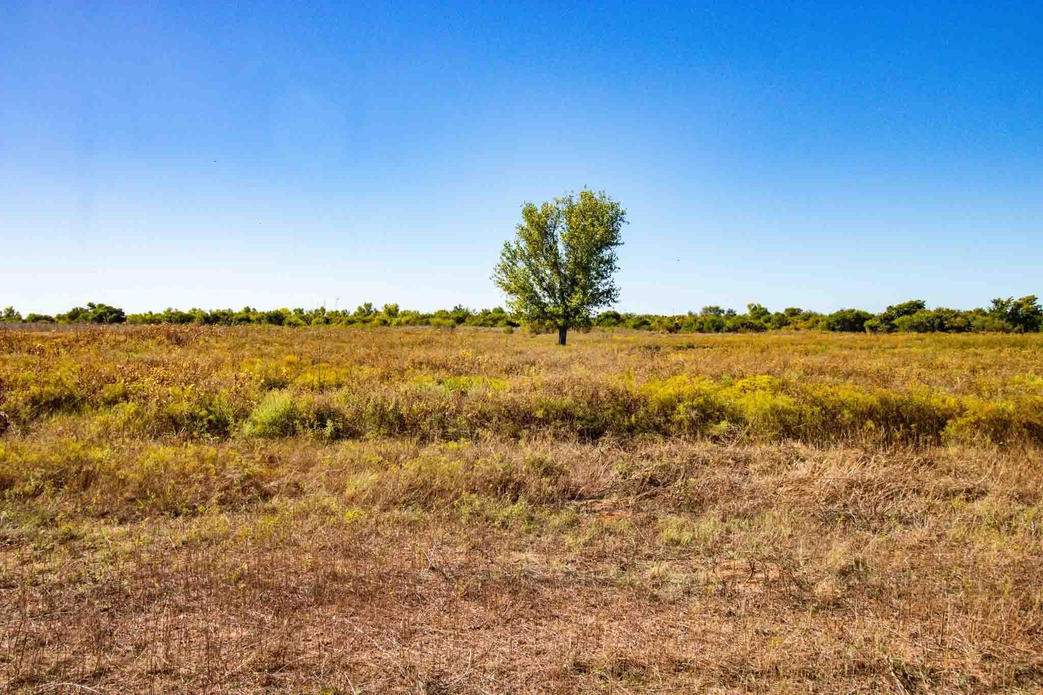 Quail Haven, Childress, TX 79201, photo 14
