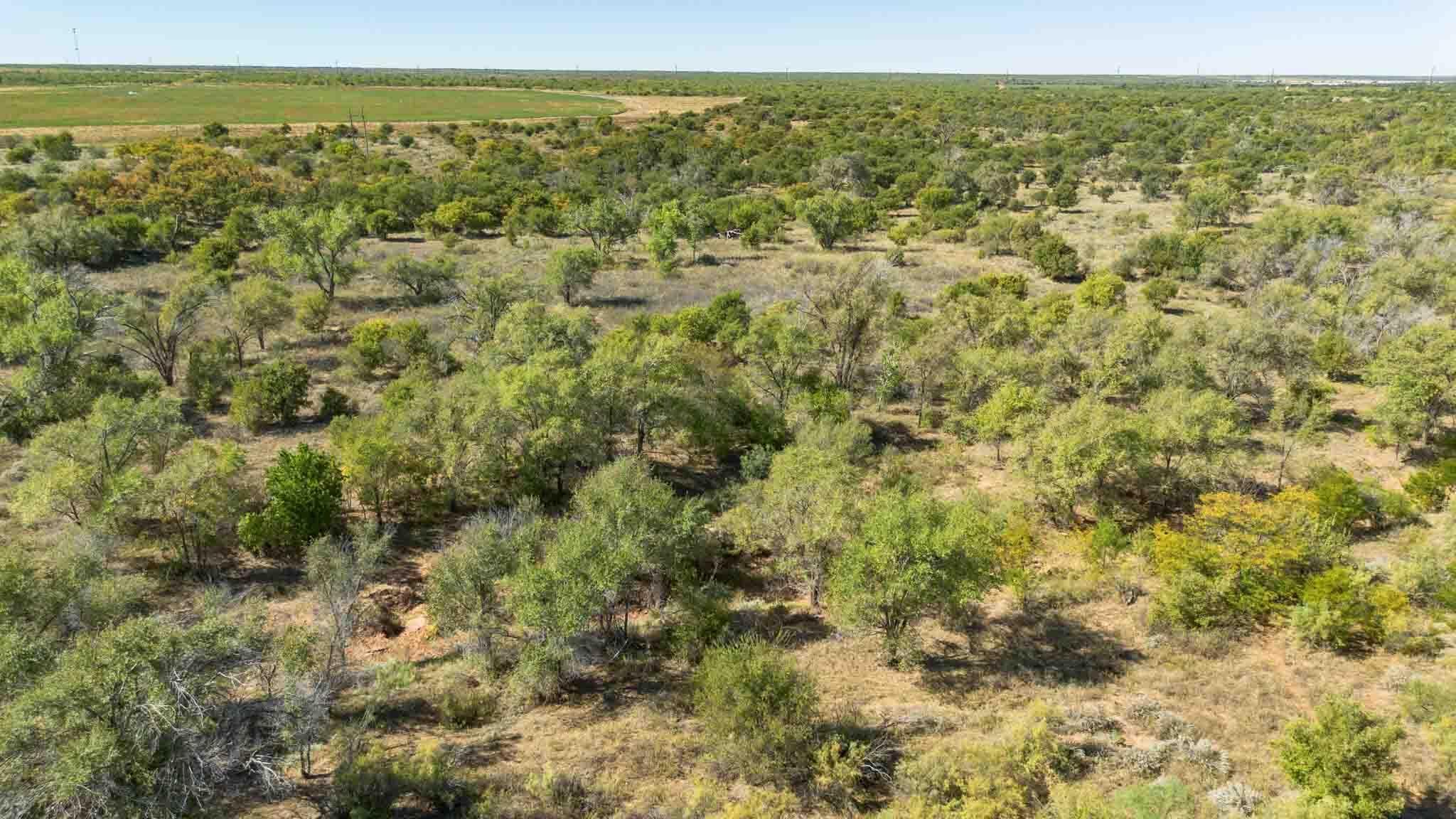 Quail Haven, Childress, TX 79201, photo 38