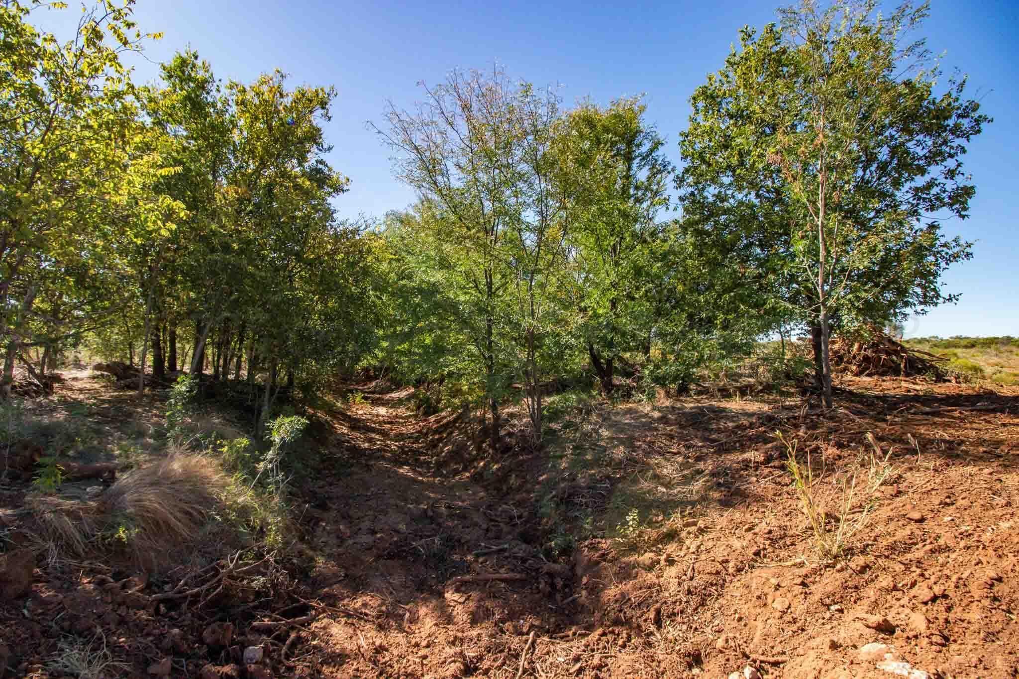 Quail Haven, Childress, TX 79201, photo 13