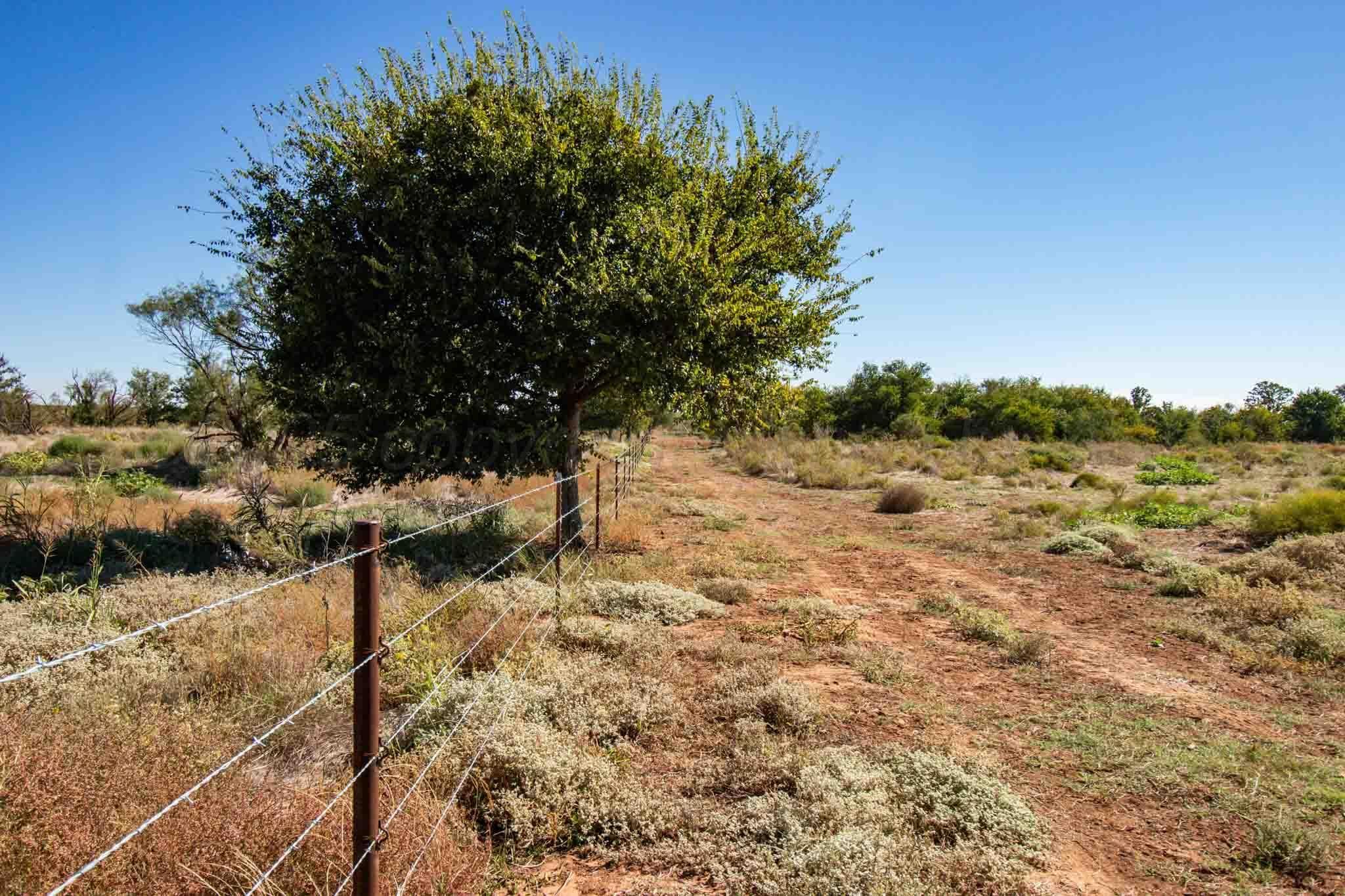 Quail Haven, Childress, TX 79201, photo 40