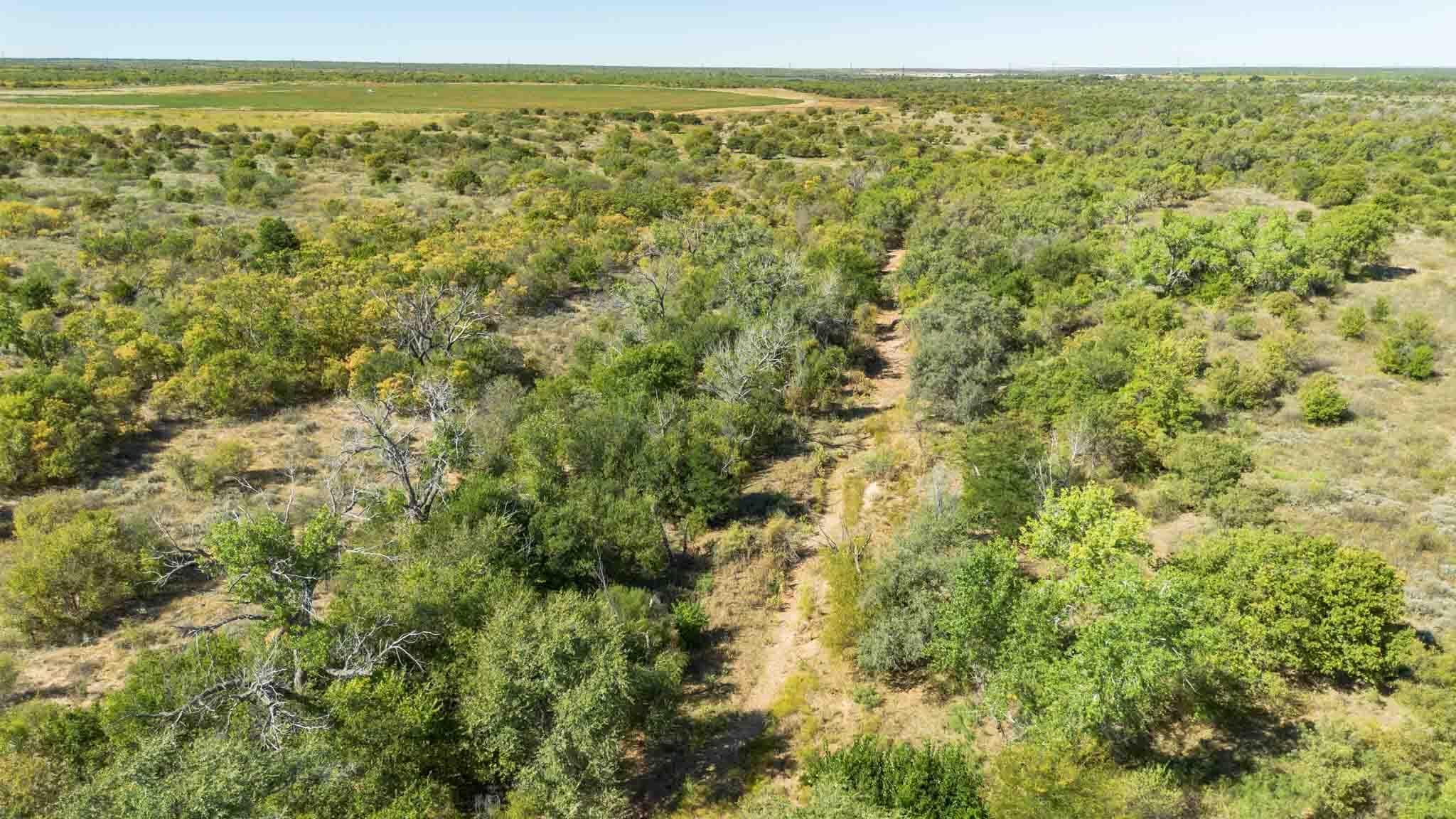 Quail Haven, Childress, TX 79201, photo 2
