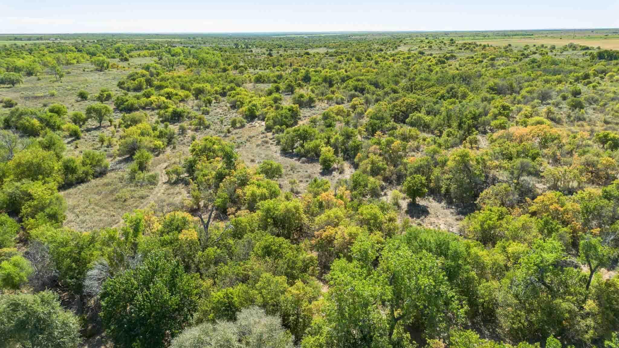 Quail Haven, Childress, TX 79201, photo 5