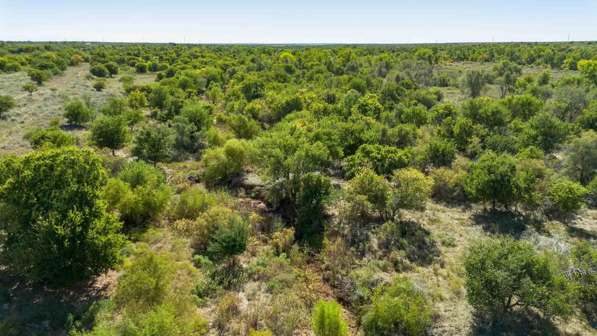 Quail Haven, Childress, TX 79201, photo 8