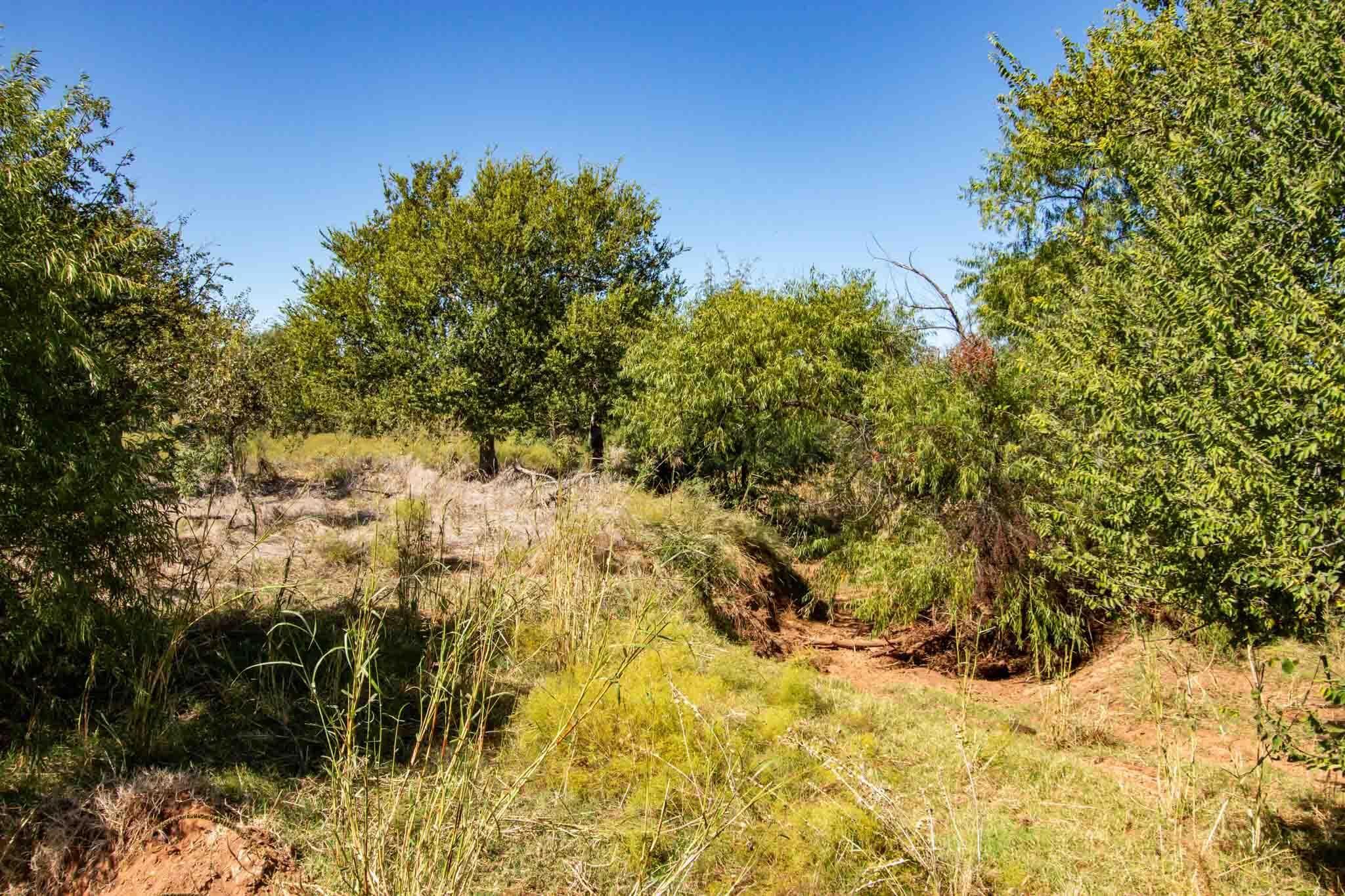 Quail Haven, Childress, TX 79201, photo 9