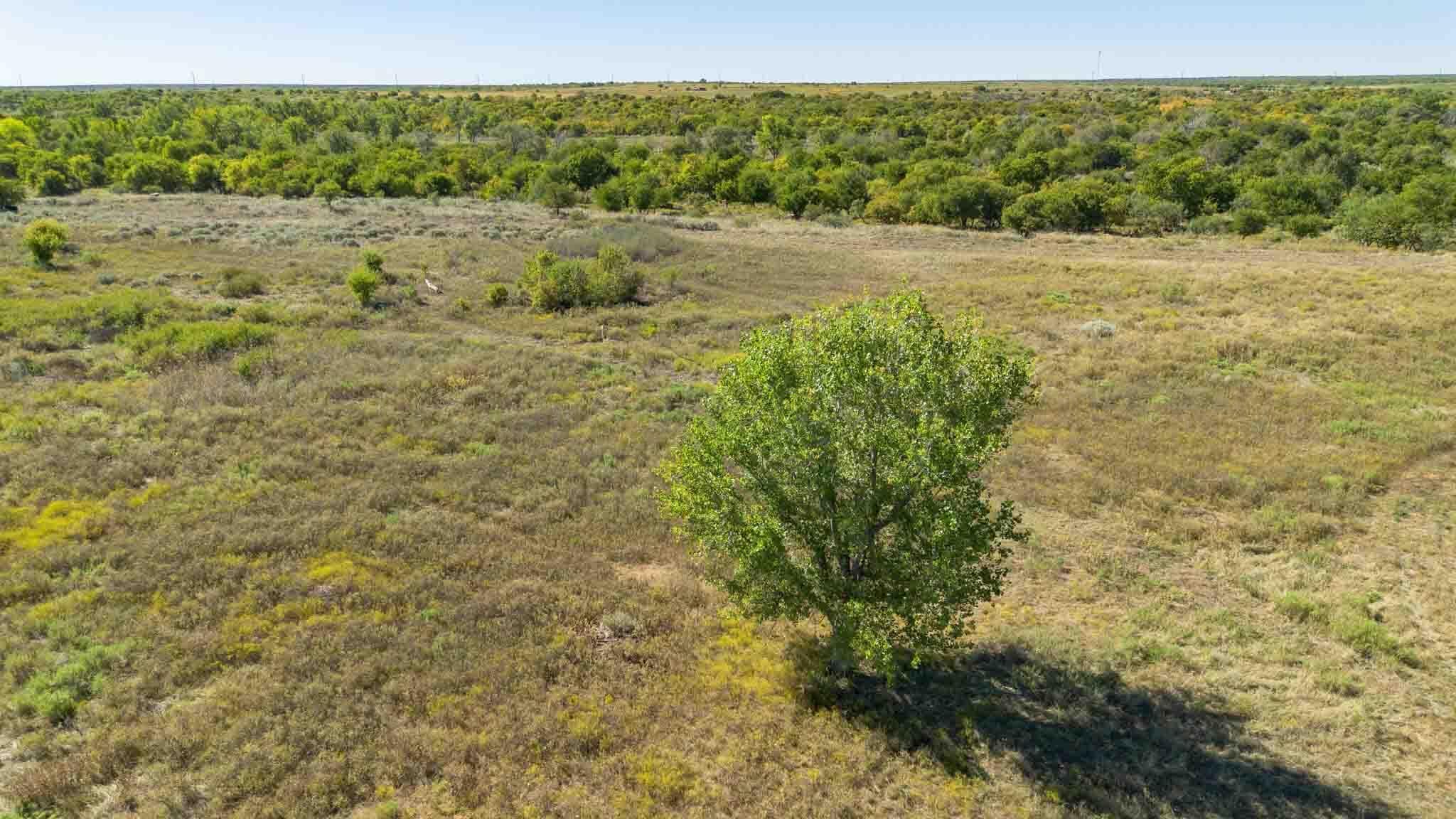 Quail Haven, Childress, TX 79201, photo 11