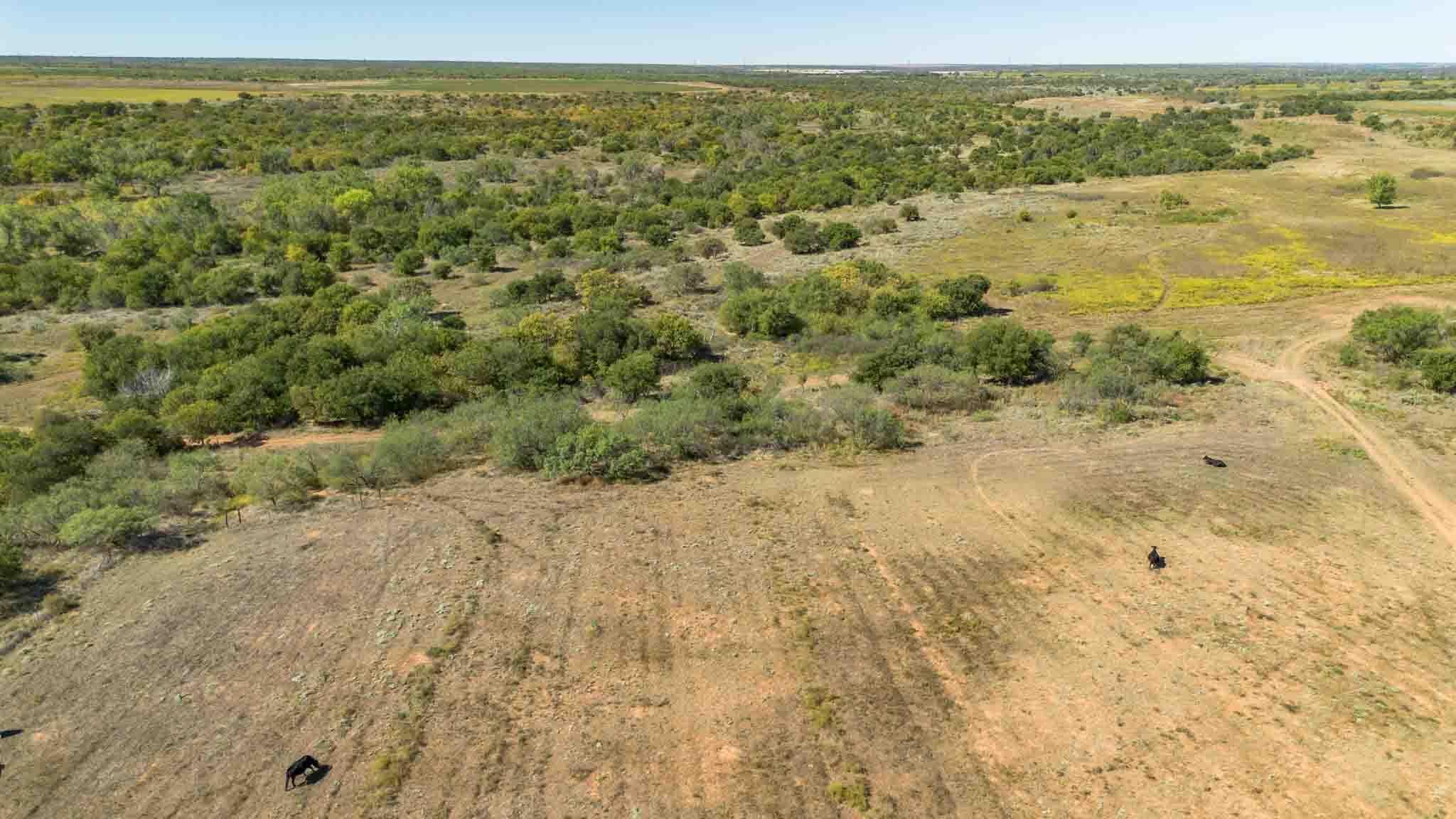 Quail Haven, Childress, TX 79201, photo 19