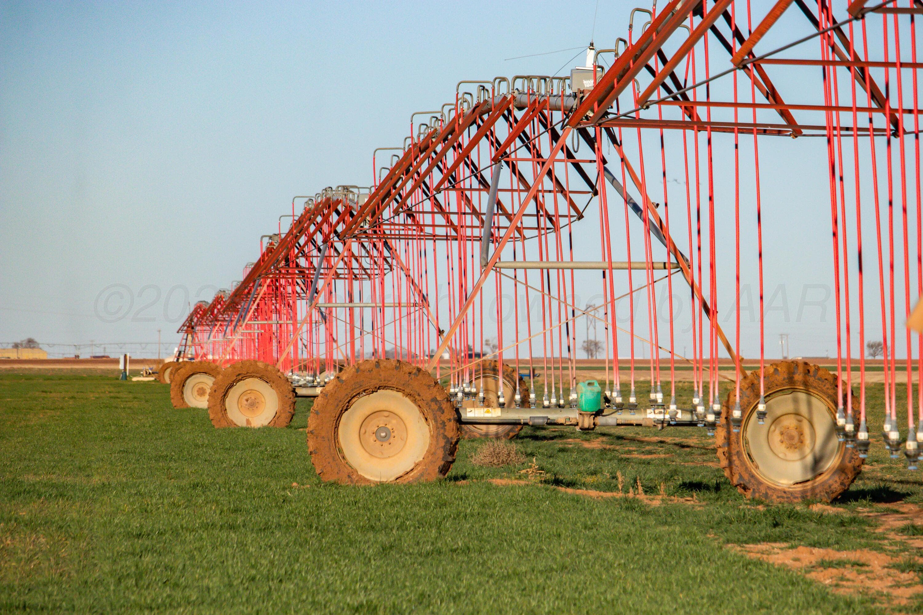 Te Velde Irrigated Farm, Dimmitt, TX 79027, photo 5