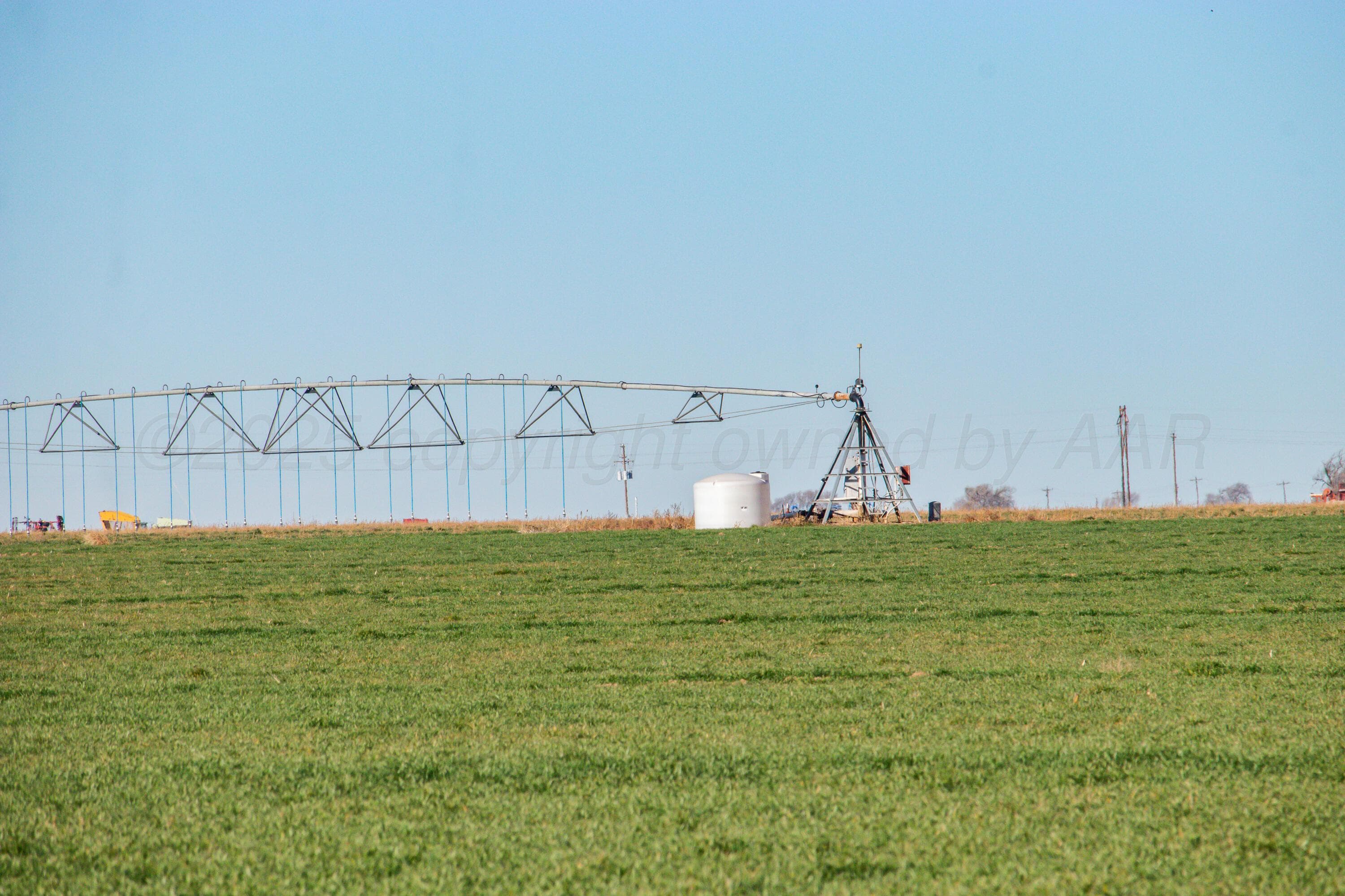 Te Velde Irrigated Farm, Dimmitt, TX 79027, photo 11