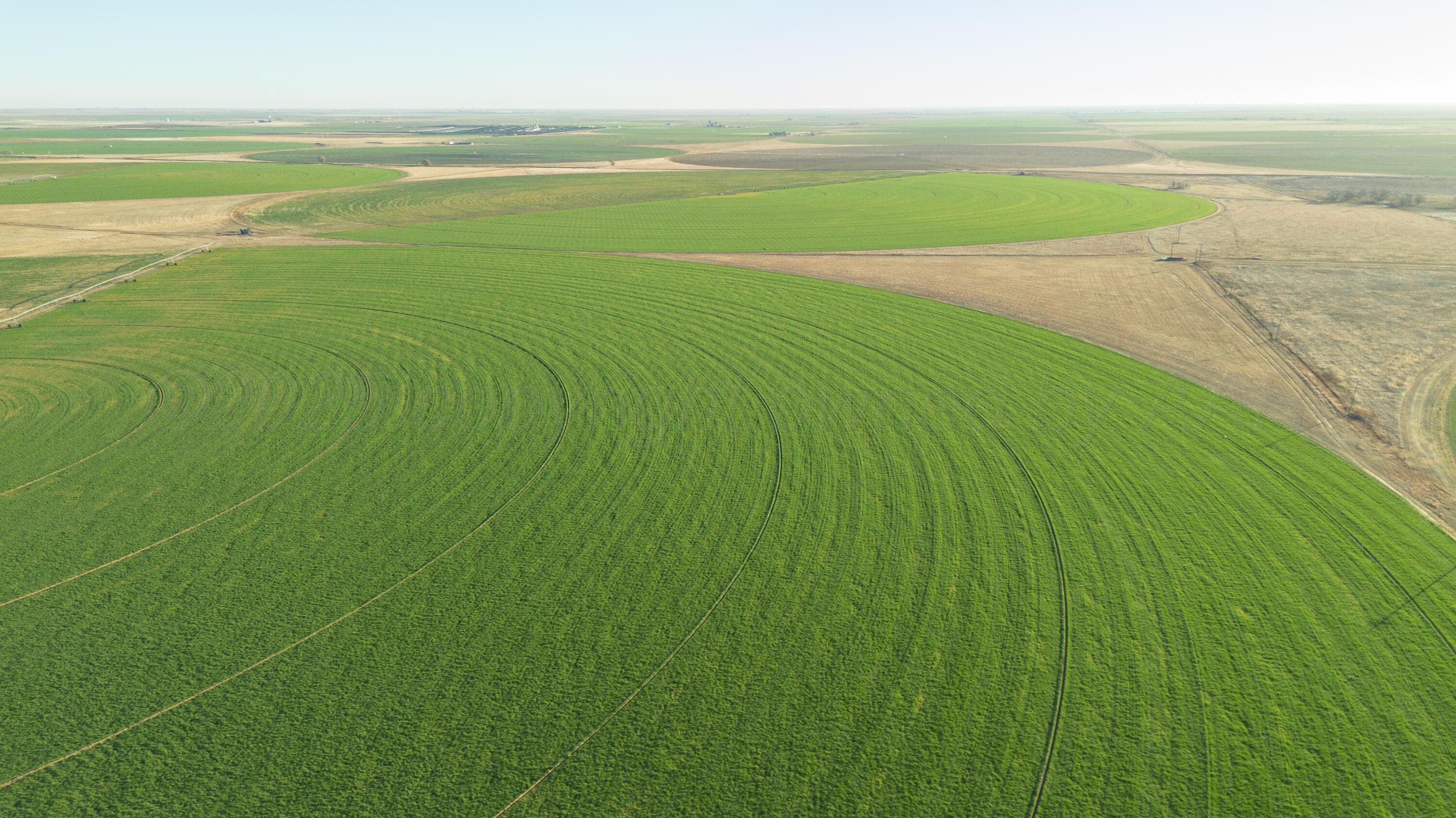 Te Velde Irrigated Farm, Dimmitt, TX 79027, photo 13