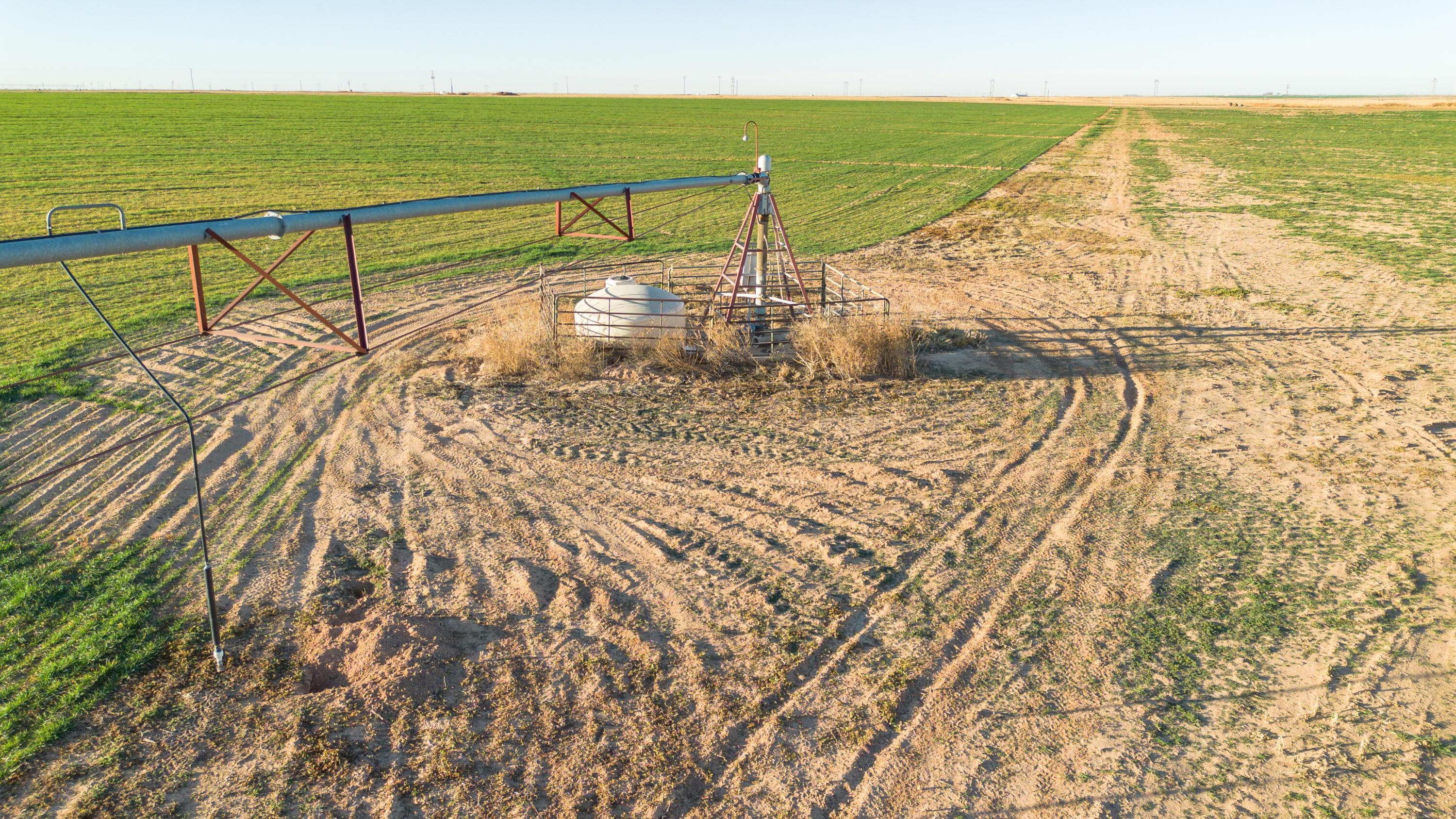 Te Velde Irrigated Farm, Dimmitt, TX 79027, photo 19