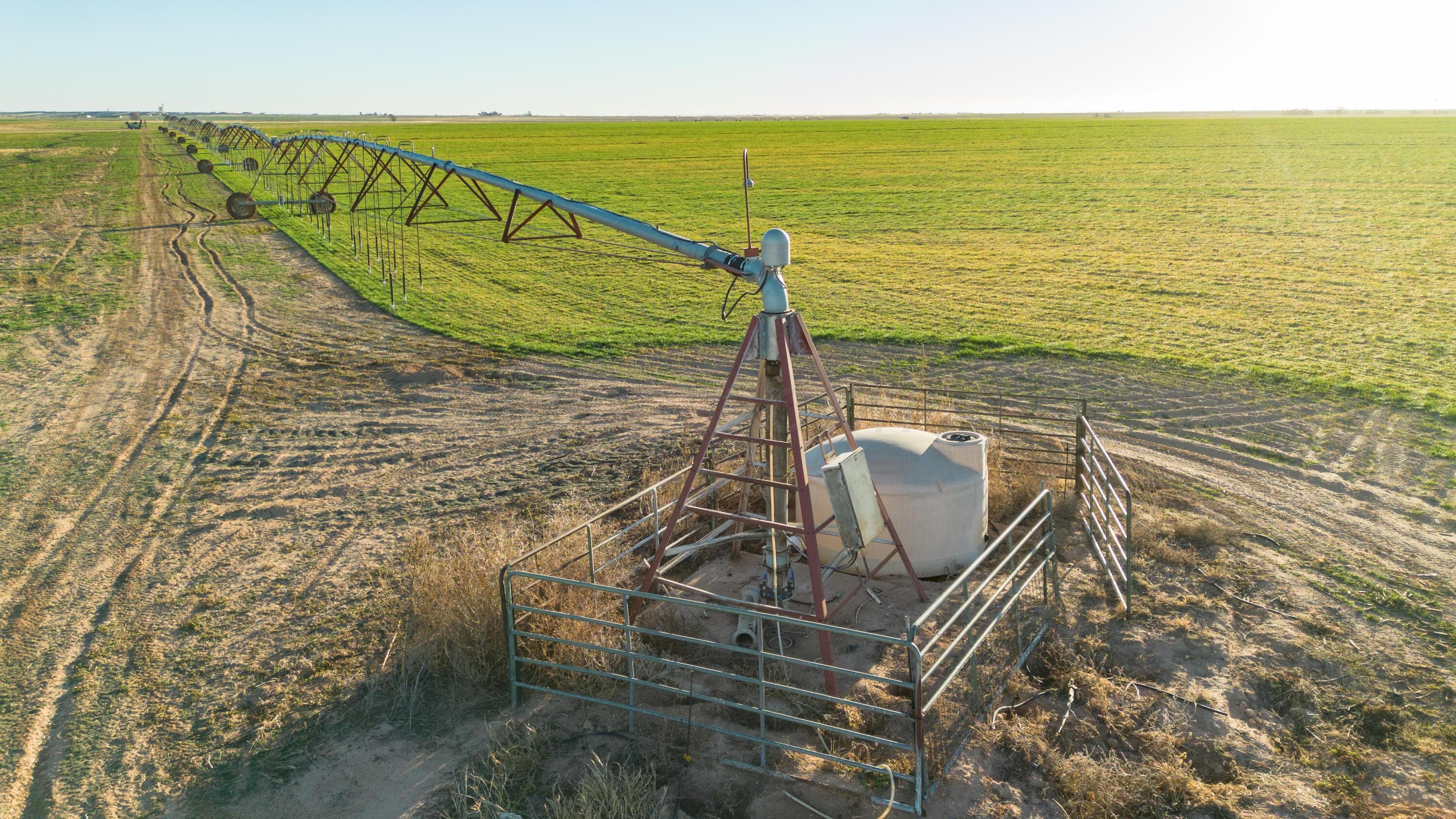 Te Velde Irrigated Farm, Dimmitt, TX 79027, photo 20