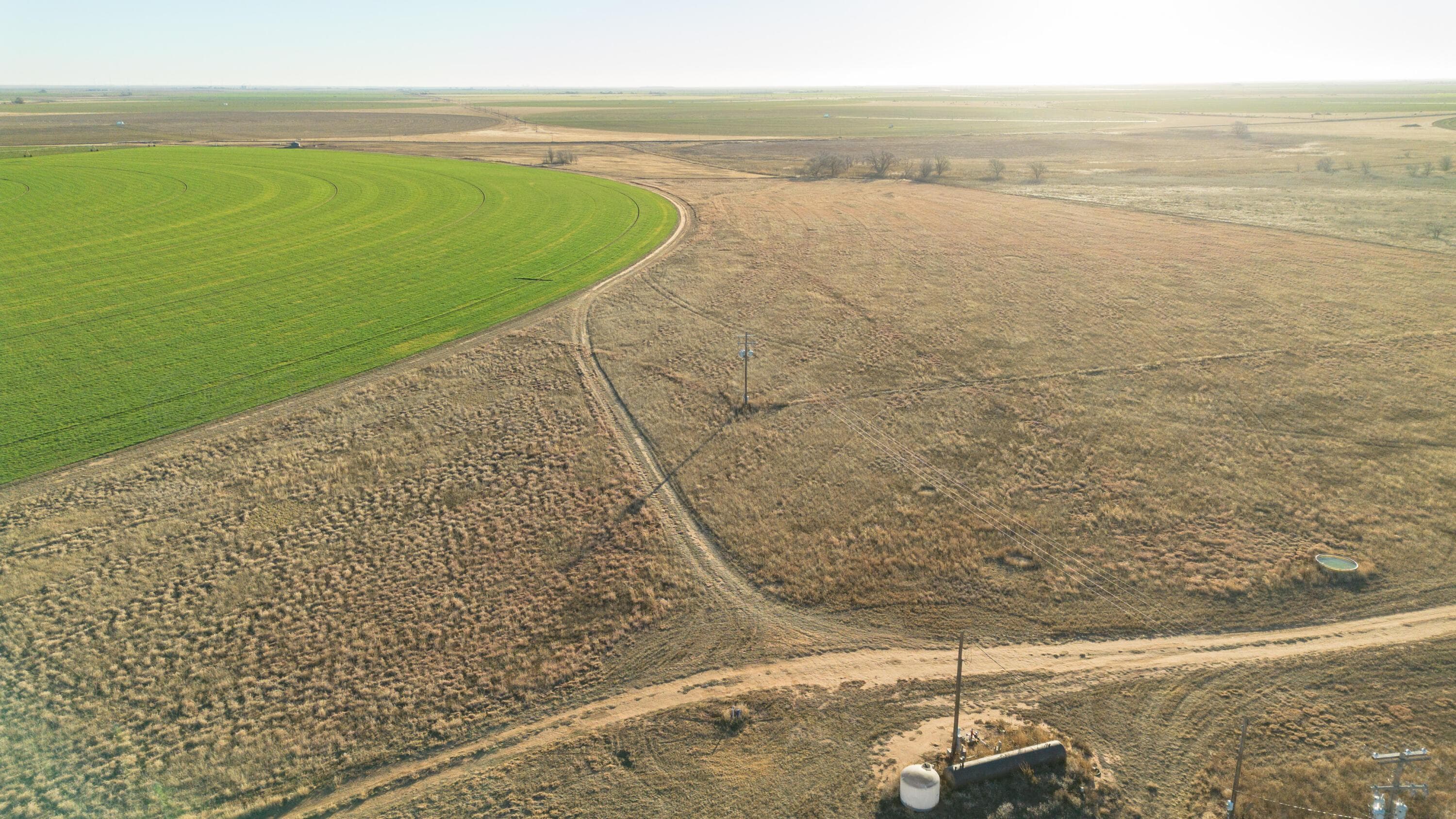 Te Velde Irrigated Farm, Dimmitt, TX 79027, photo 22