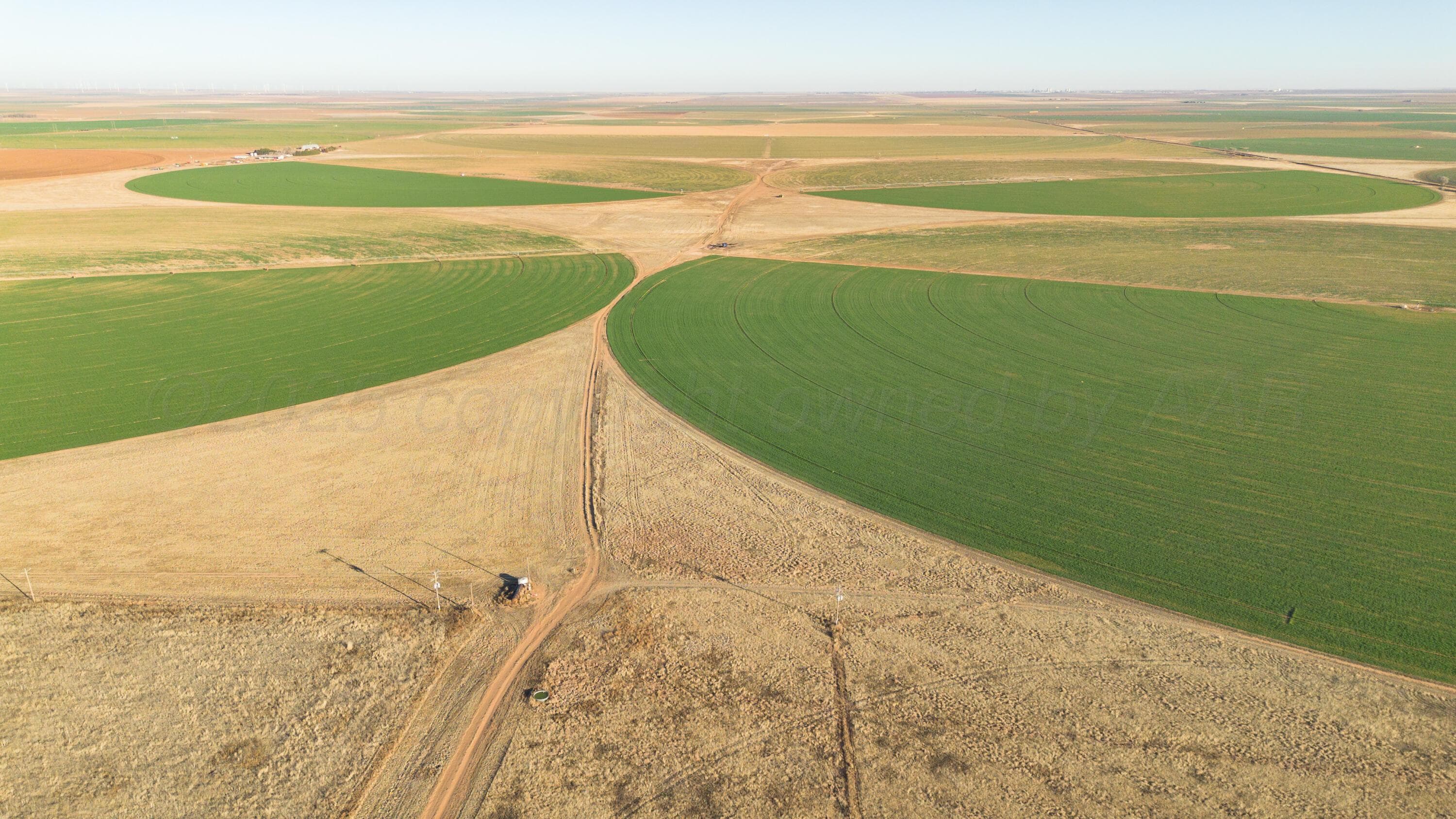 Te Velde Irrigated Farm, Dimmitt, TX 79027, photo 23
