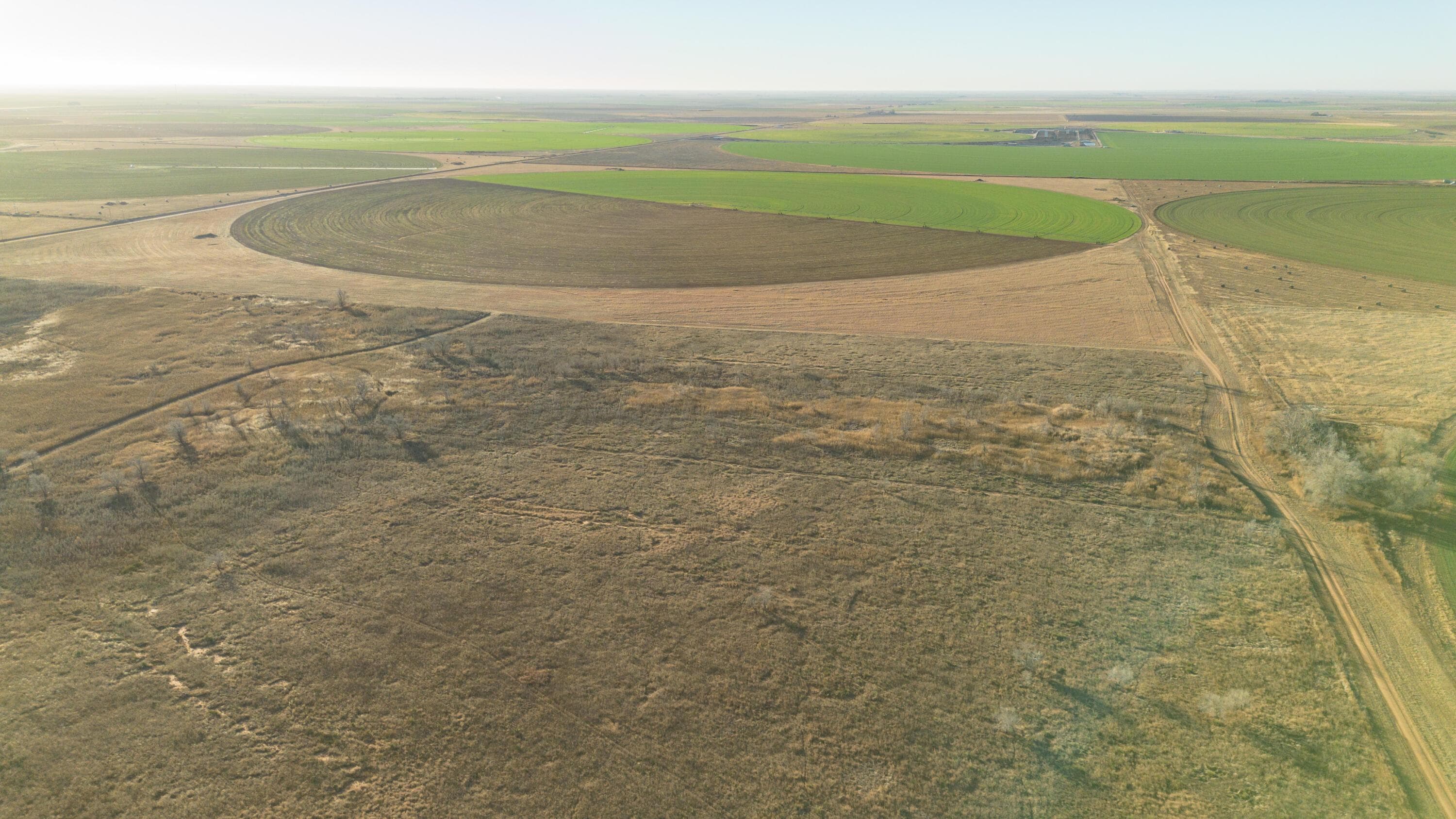 Te Velde Irrigated Farm, Dimmitt, TX 79027, photo 26