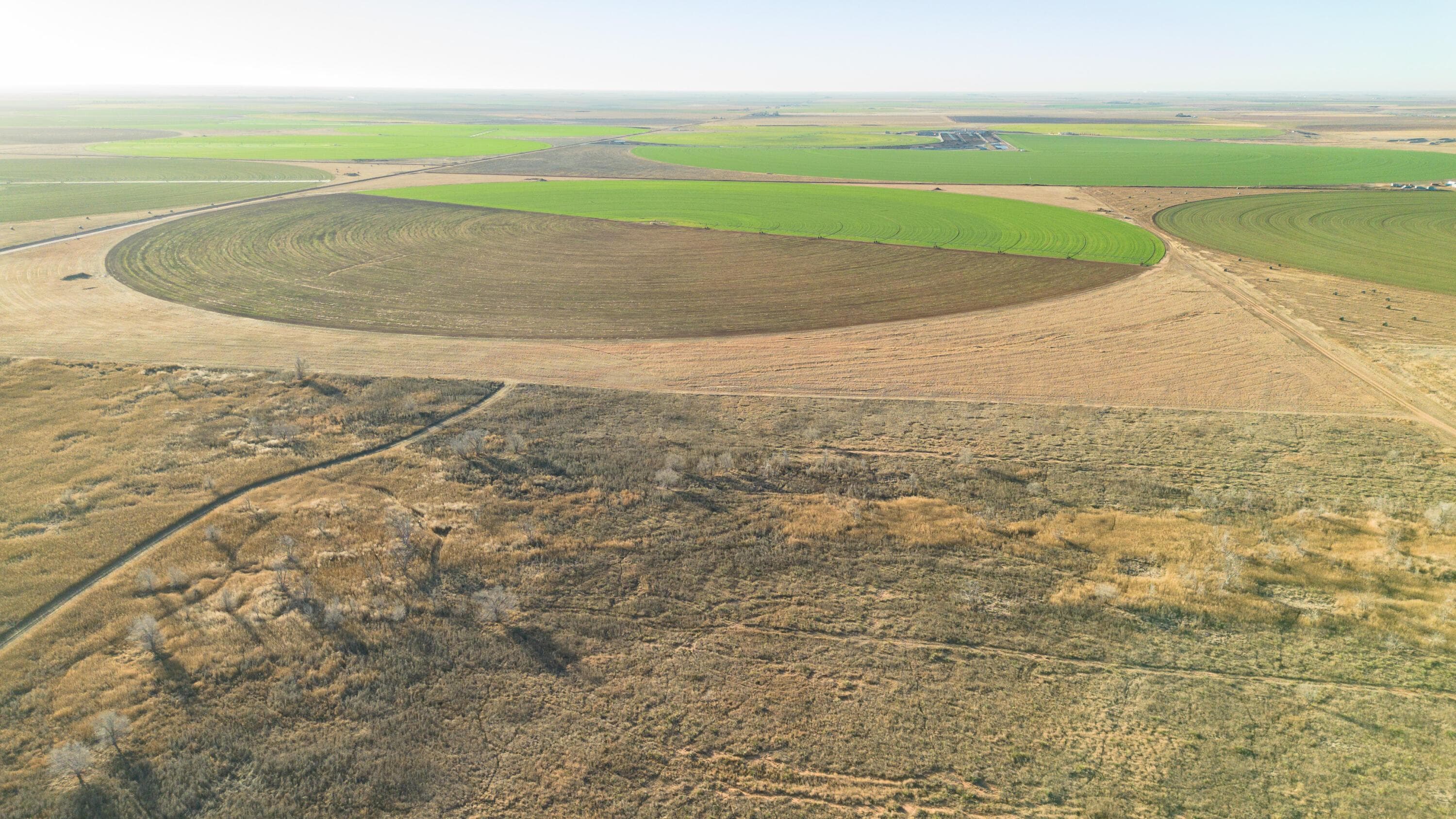 Te Velde Irrigated Farm, Dimmitt, TX 79027, photo 27