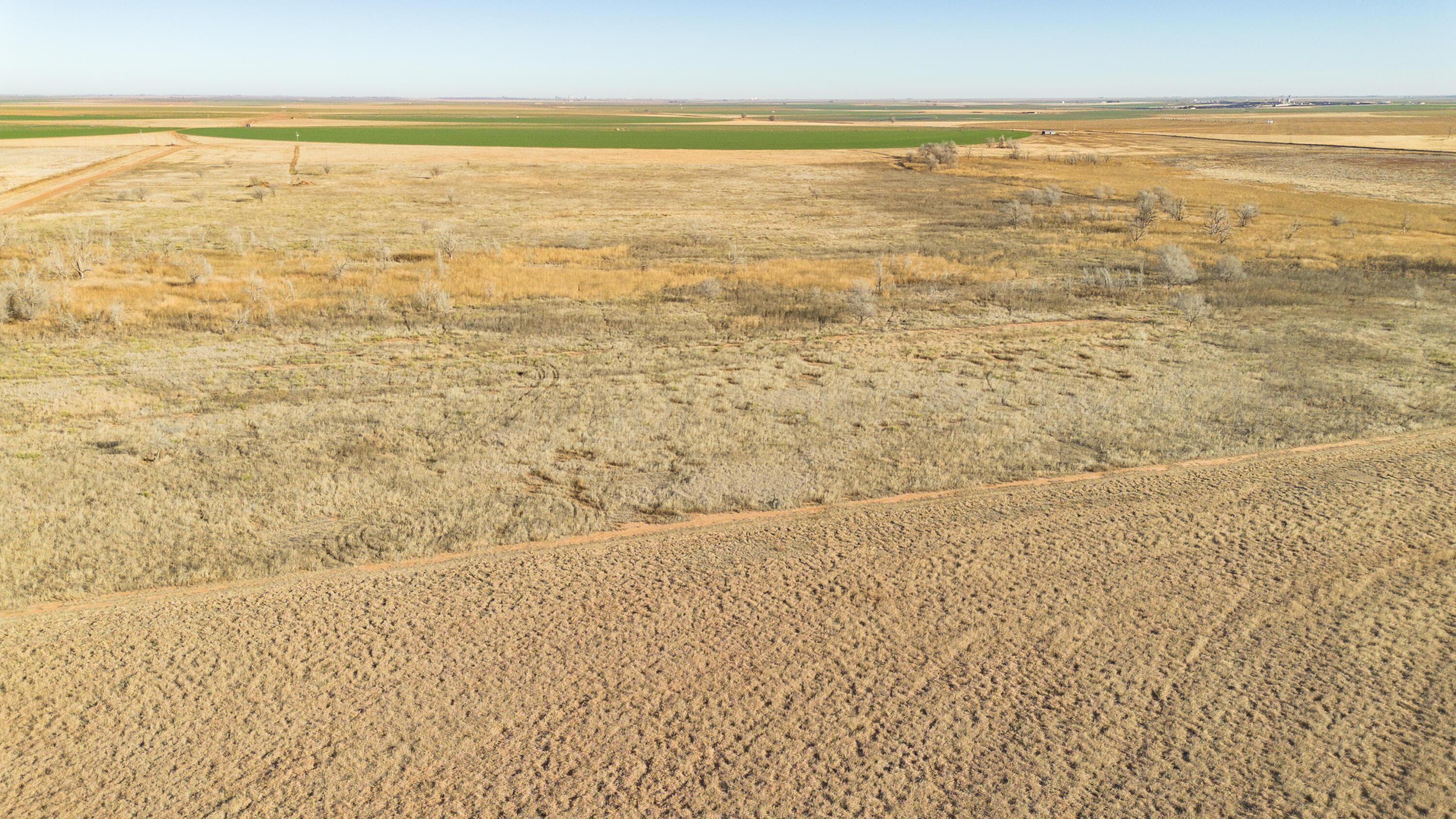 Te Velde Irrigated Farm, Dimmitt, TX 79027, photo 34