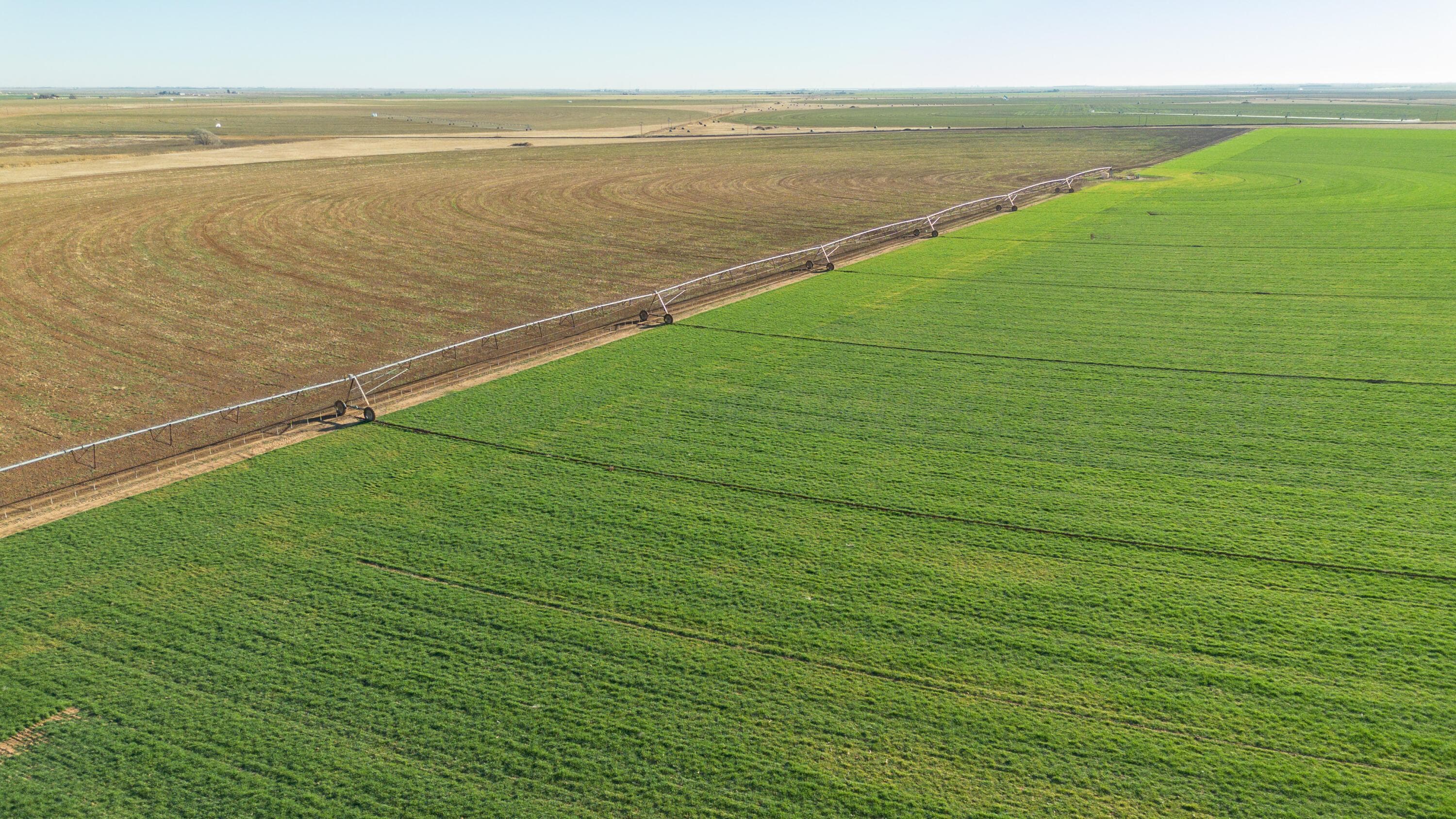 Te Velde Irrigated Farm, Dimmitt, TX 79027, photo 35