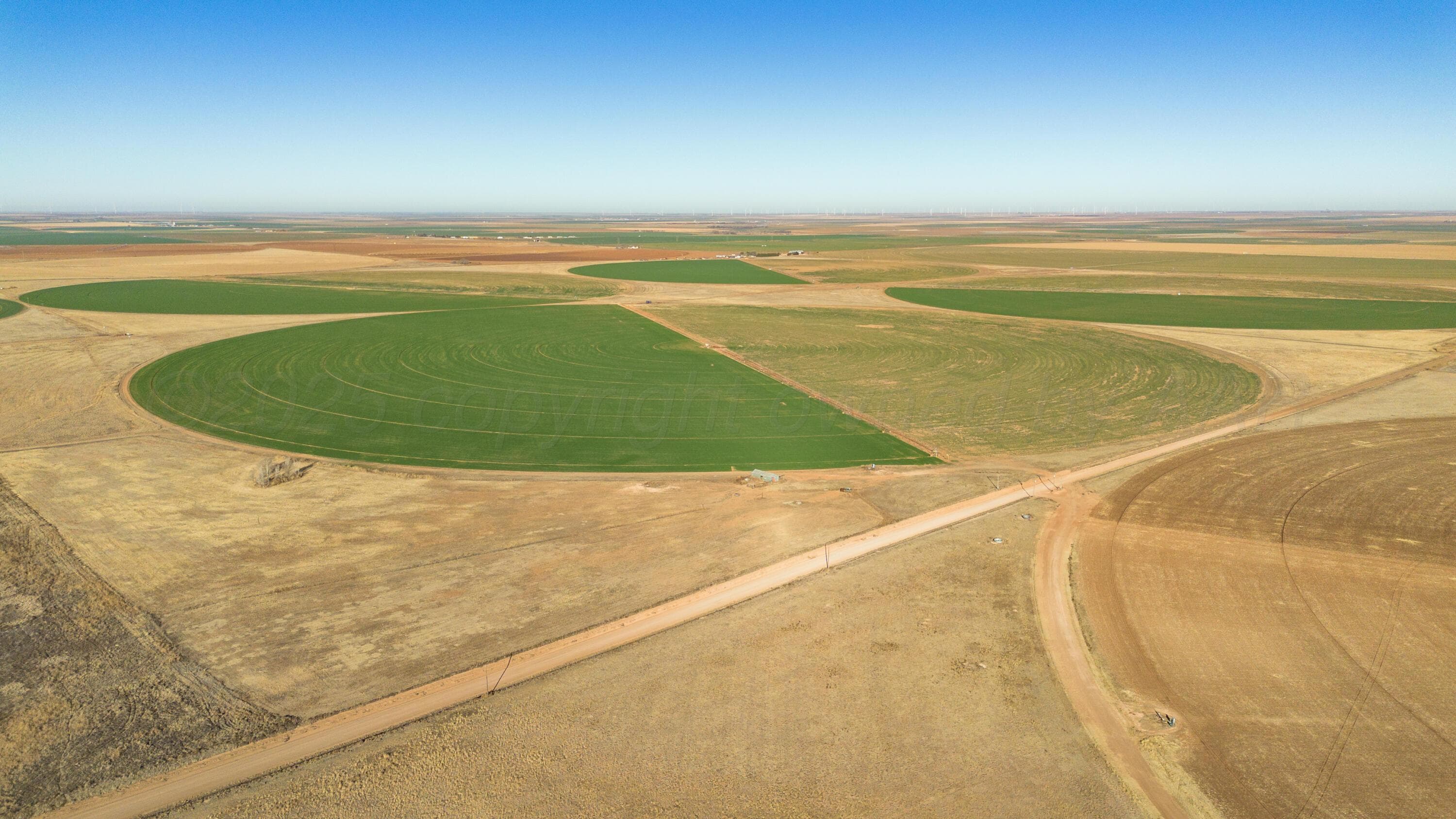 Te Velde Irrigated Farm, Dimmitt, TX 79027, photo 40
