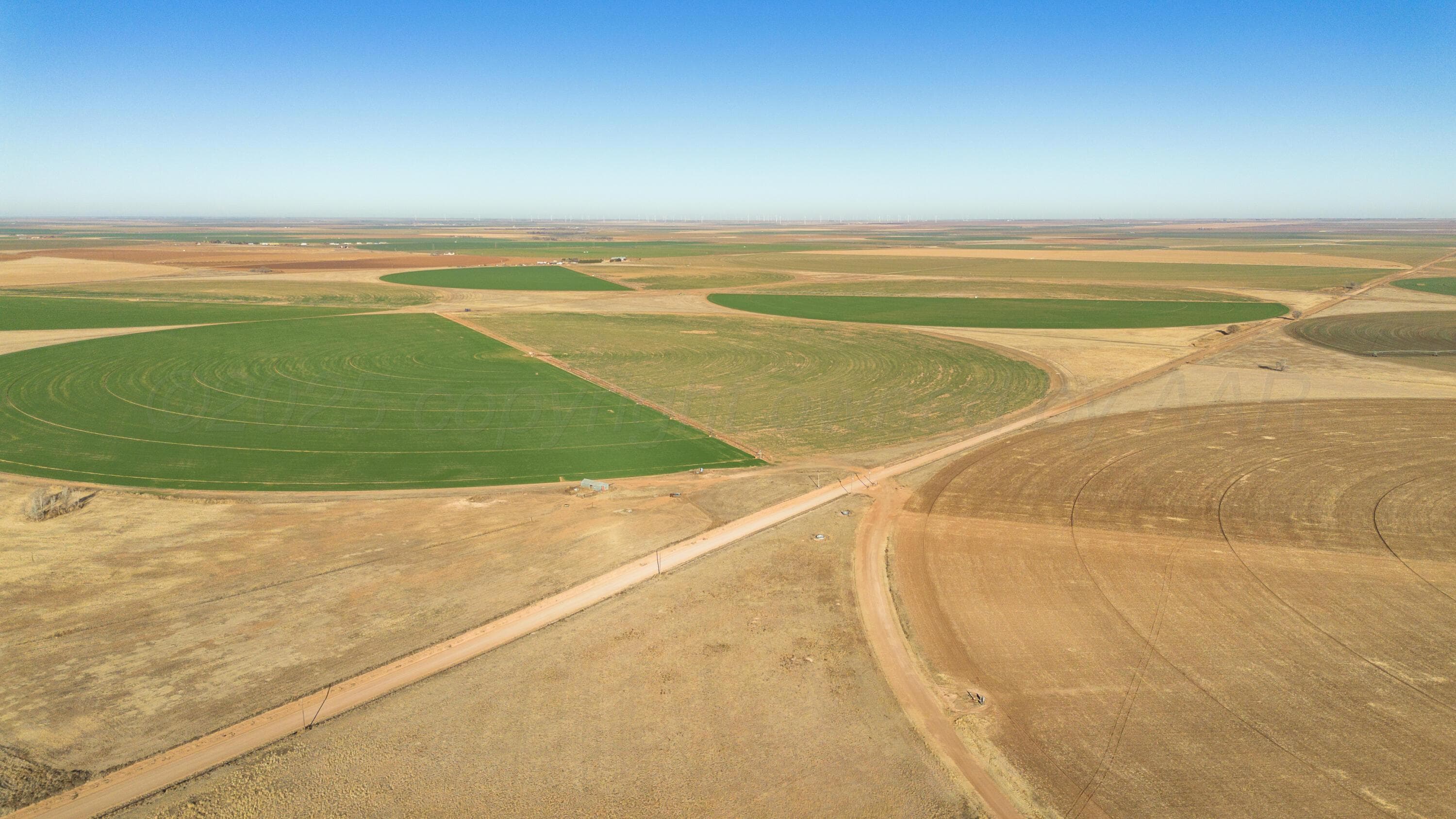 Te Velde Irrigated Farm, Dimmitt, TX 79027, photo 41