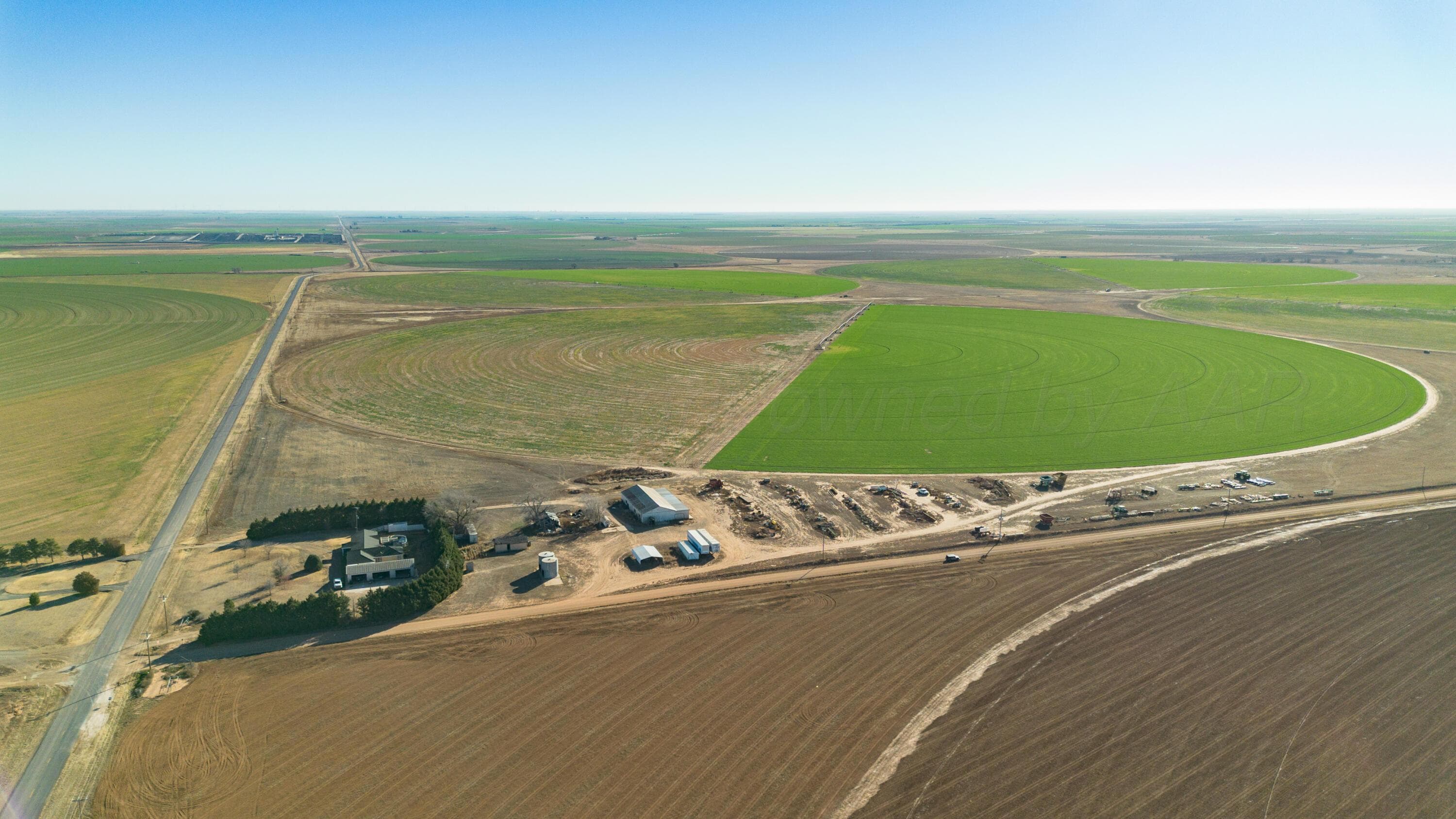 Te Velde Irrigated Farm, Dimmitt, TX 79027, photo 45