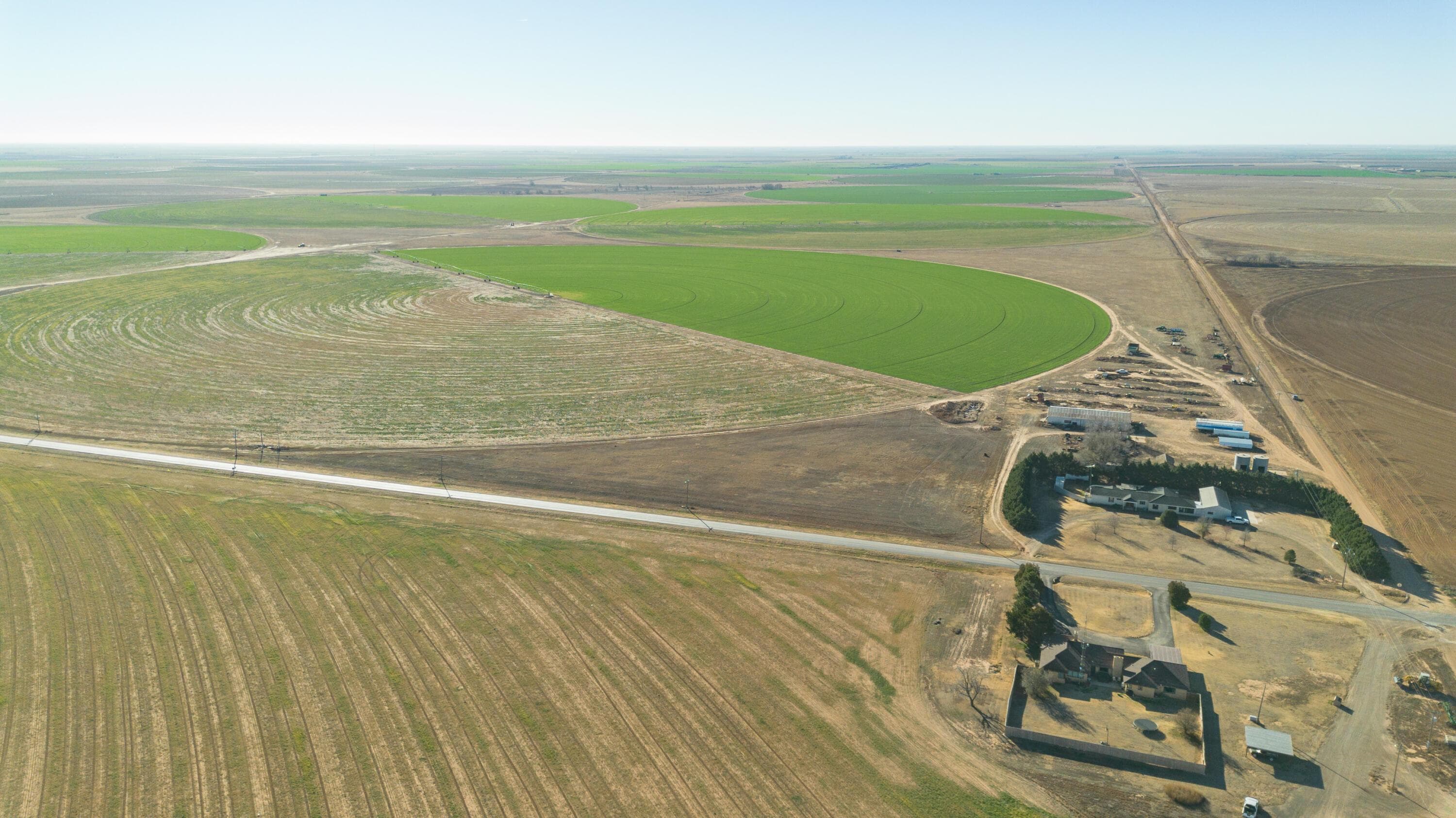 Te Velde Irrigated Farm, Dimmitt, TX 79027, photo 47