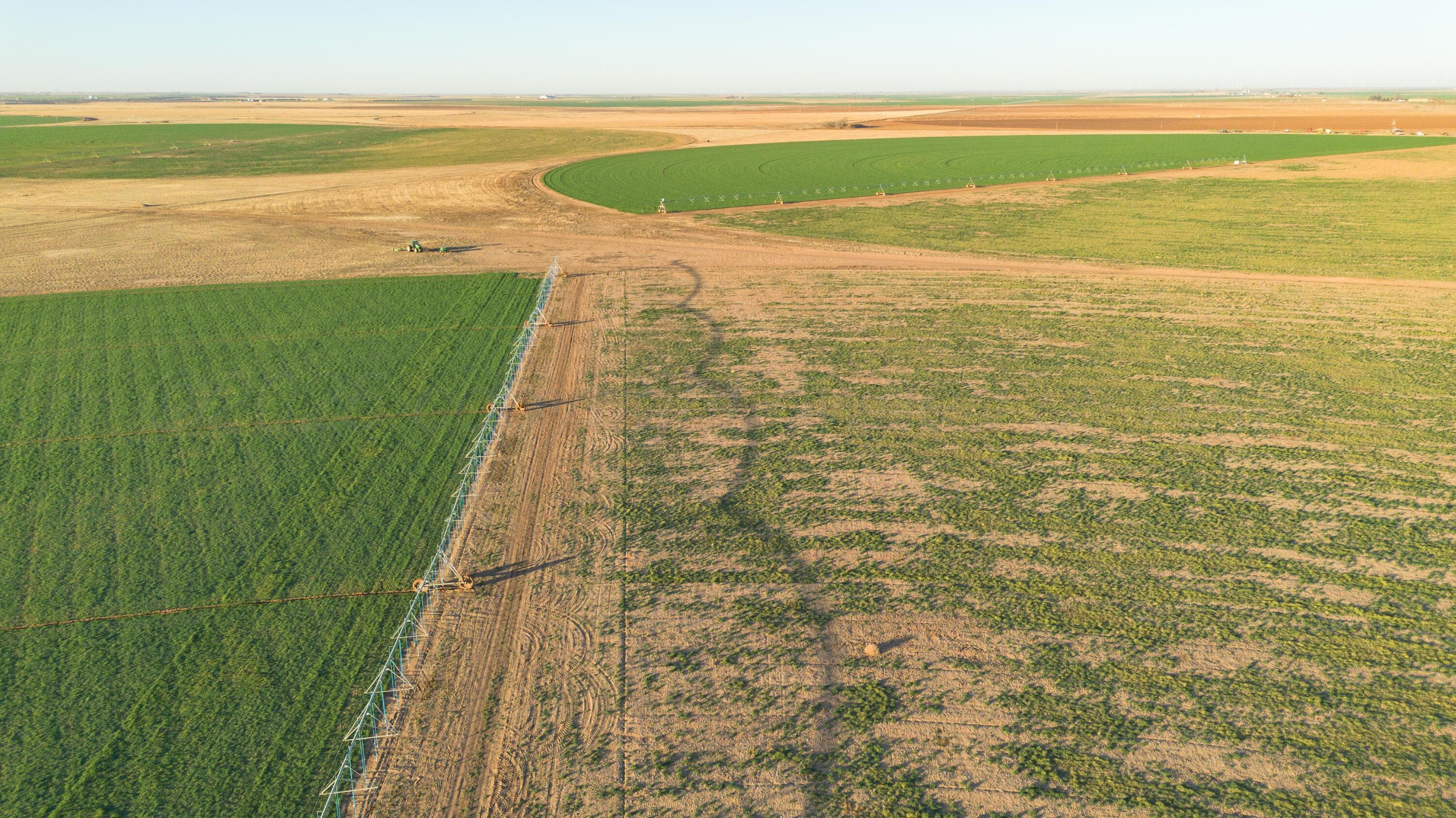Te Velde Irrigated Farm, Dimmitt, TX 79027, photo 56