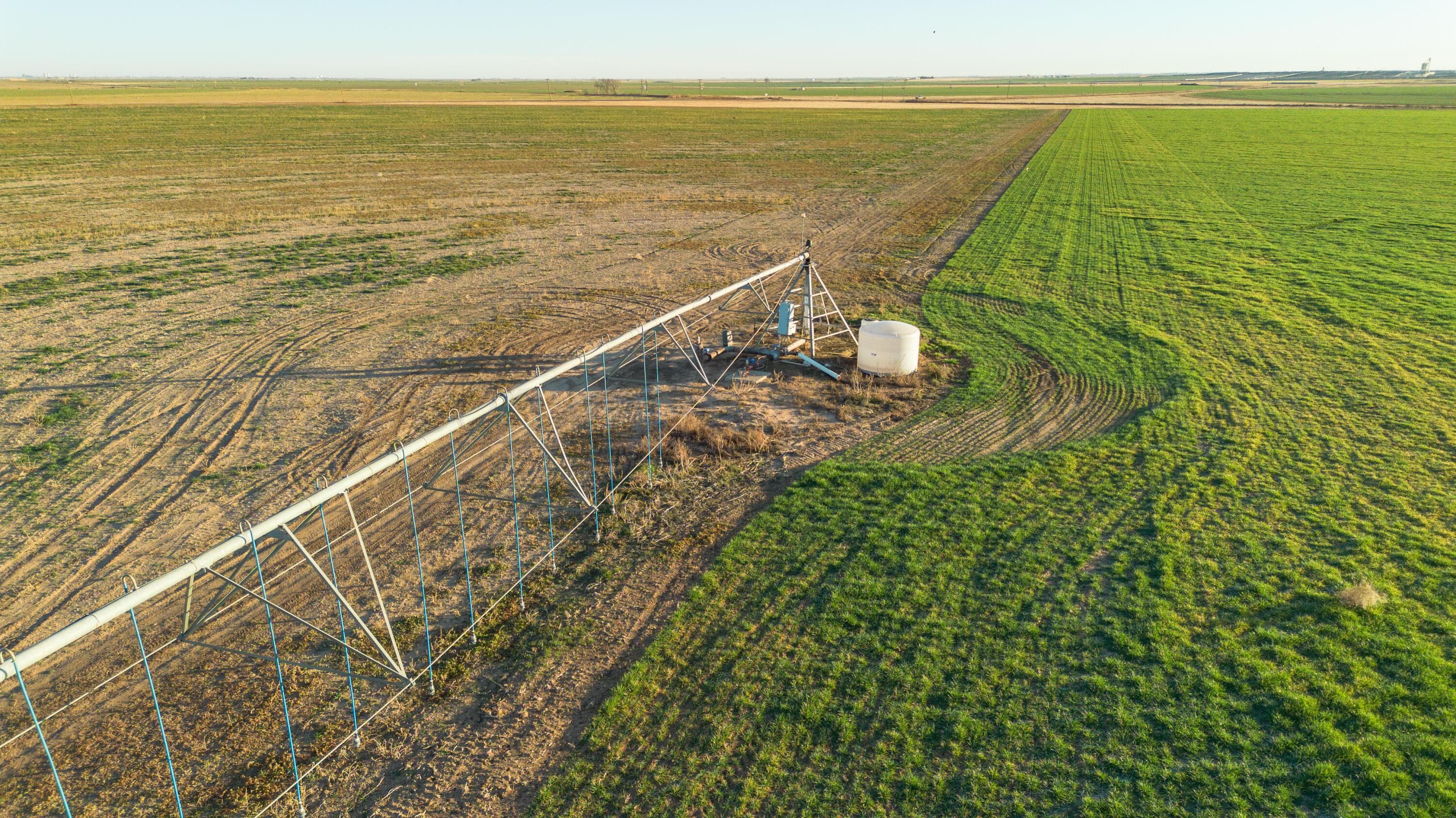 Te Velde Irrigated Farm, Dimmitt, TX 79027, photo 57